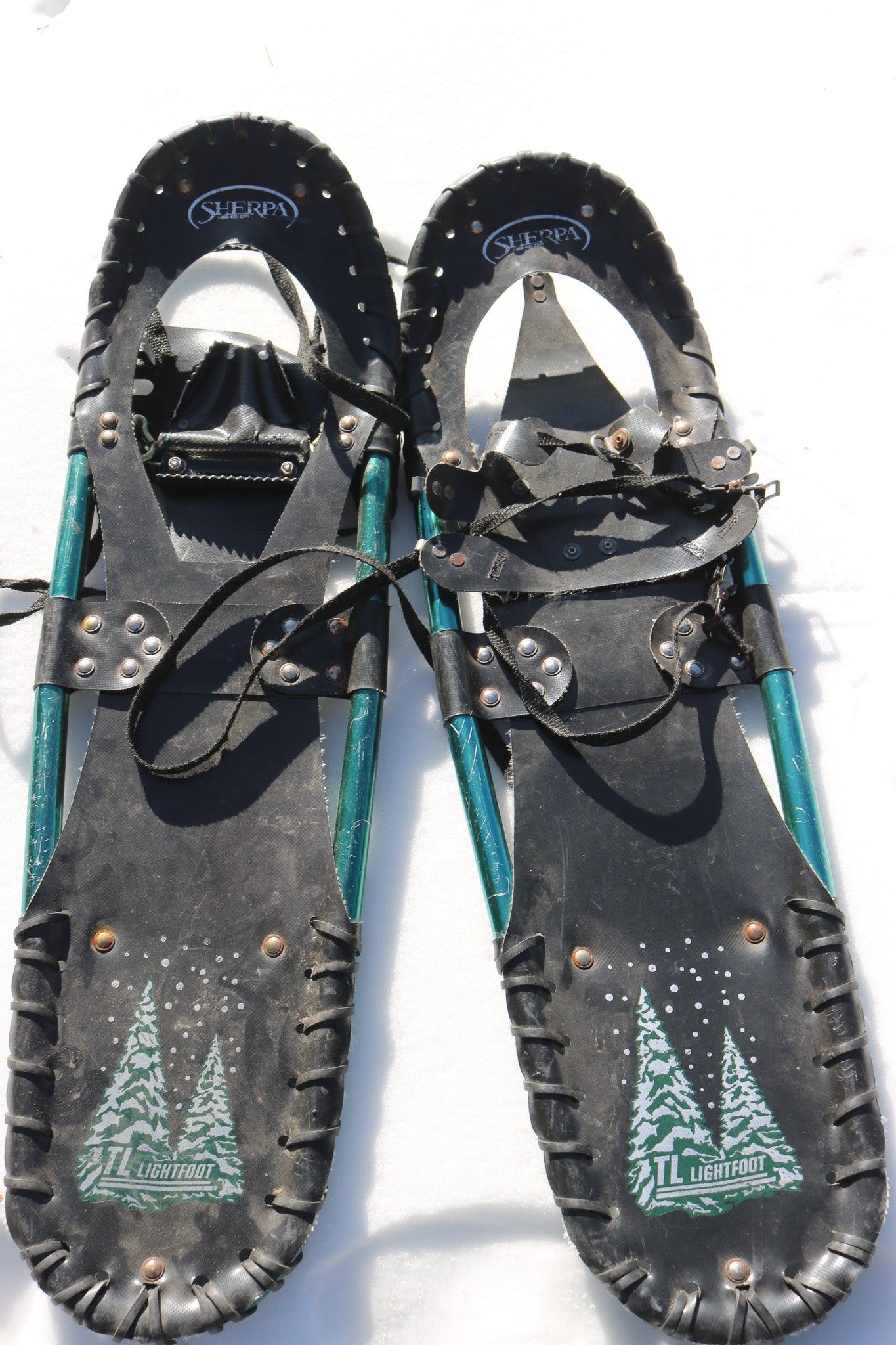 Aluminum Sherpa TL Lightfoot Snowshoes