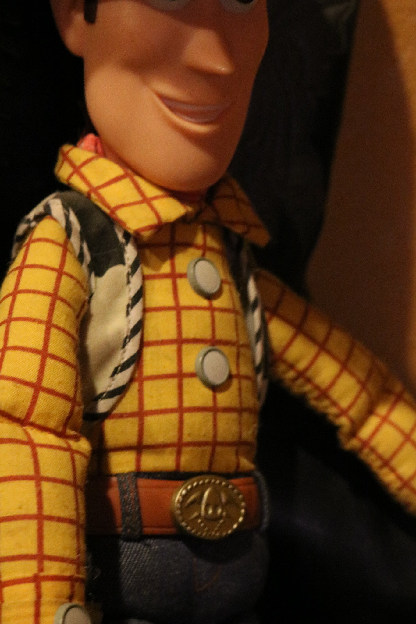 Toy Story's Set of Woody and Jesse Dolls