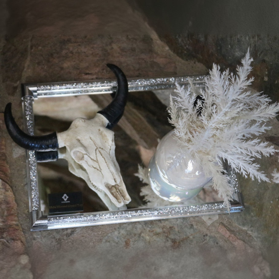 Elegant 10x14 Crystal Mirror Jewelry Tray