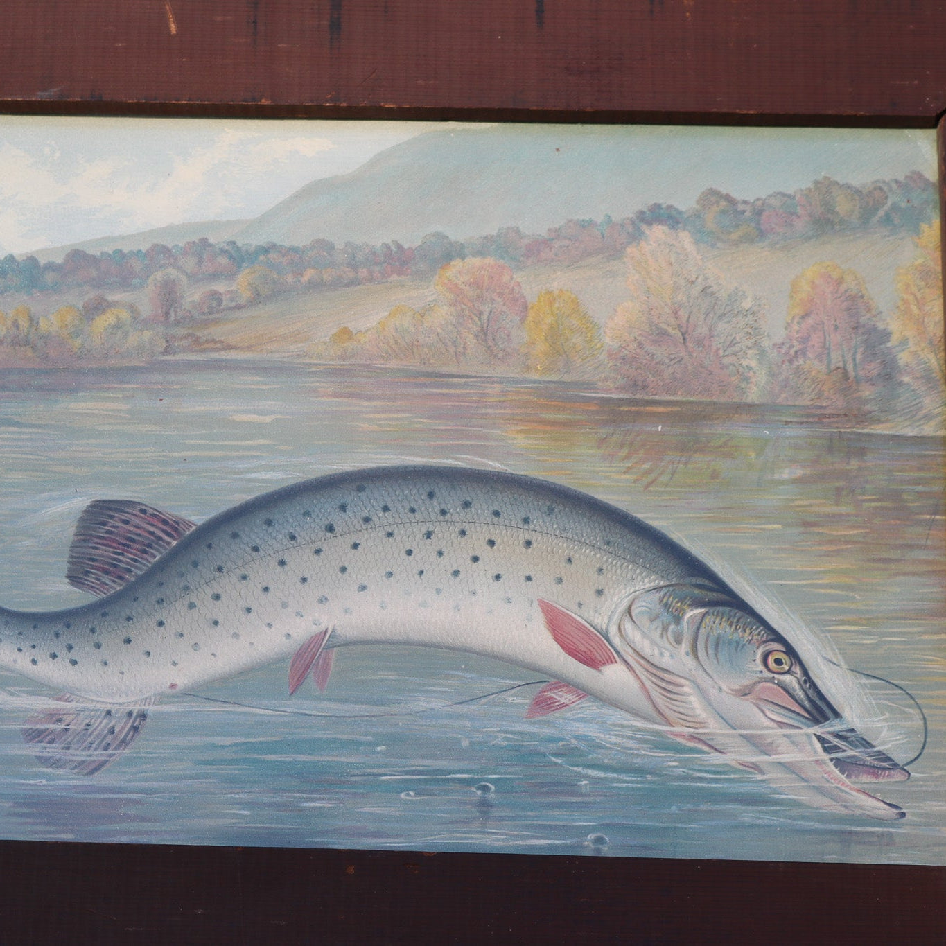 Samuel A Kilbourne "Northern Pike Hooked" Antique Framed Chromolithograph