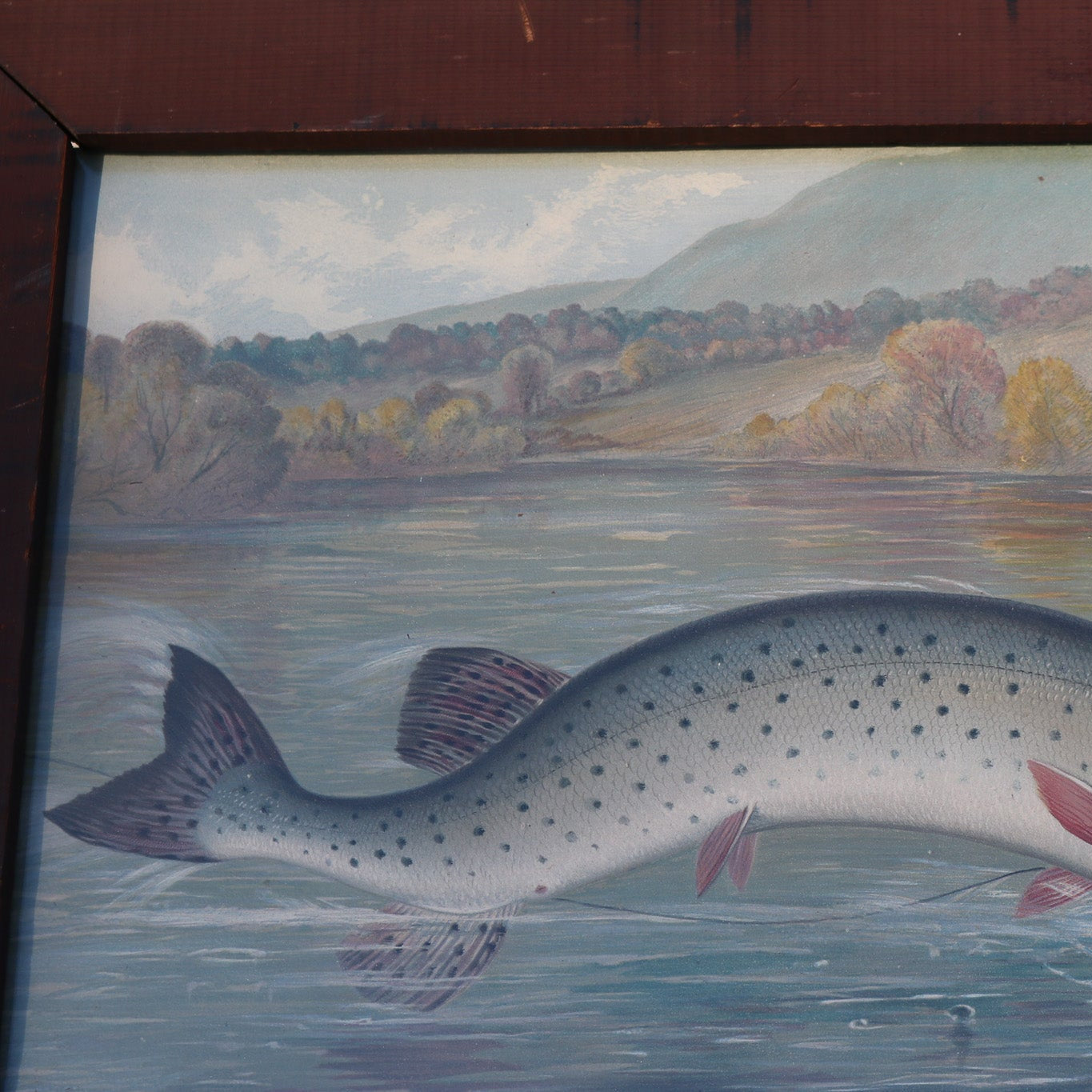 Samuel A Kilbourne "Northern Pike Hooked" Antique Framed Chromolithograph
