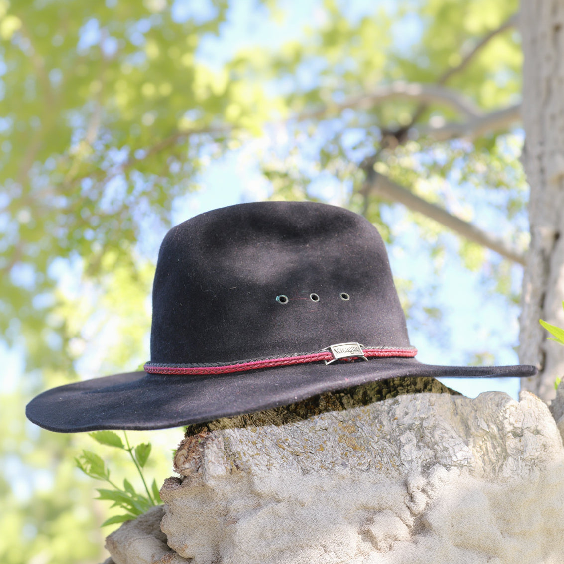 Wrangler 4x Beaver And Genuine Lamb-skin Black cowboy Hat