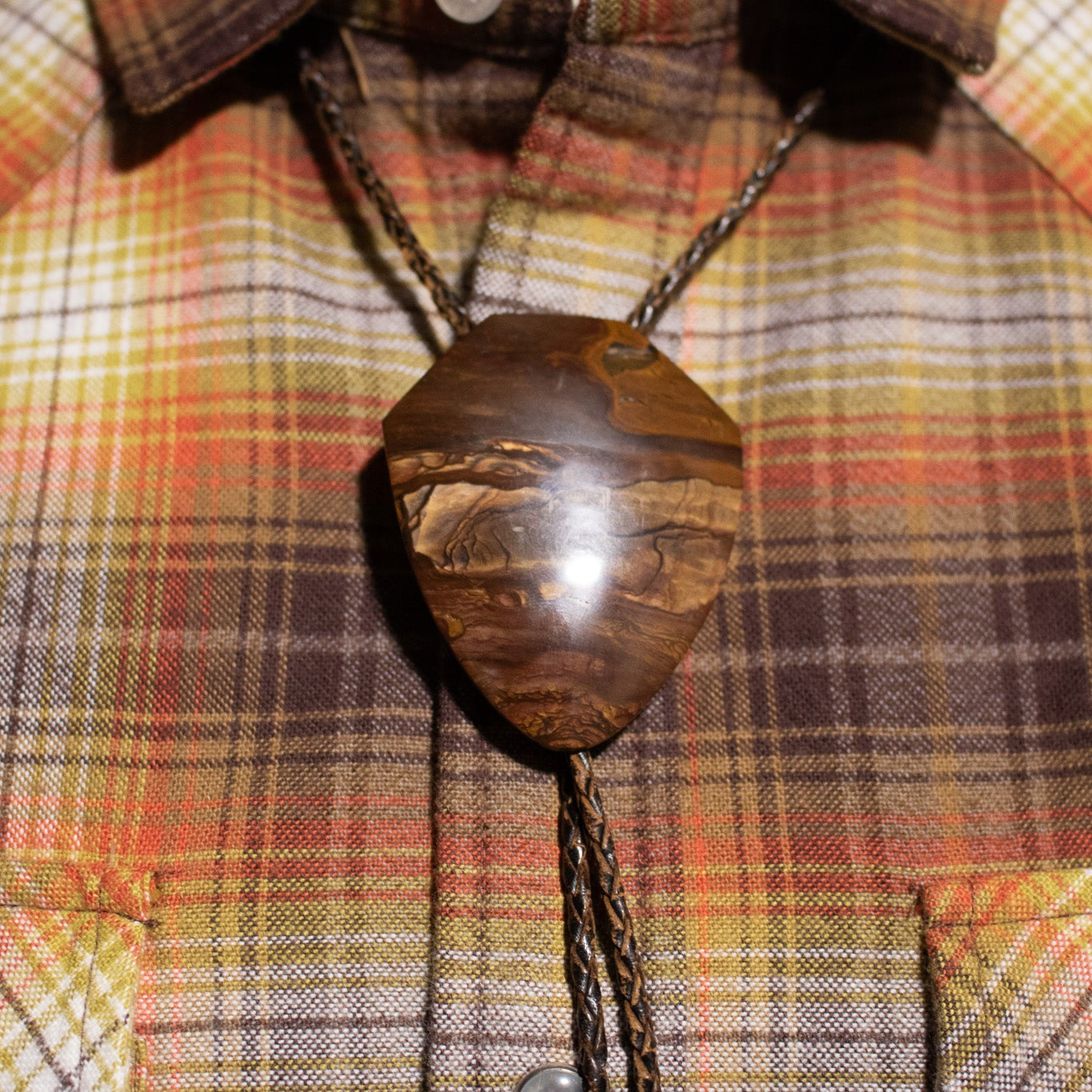 Large Petrified Wood Medallion Bolo Tie