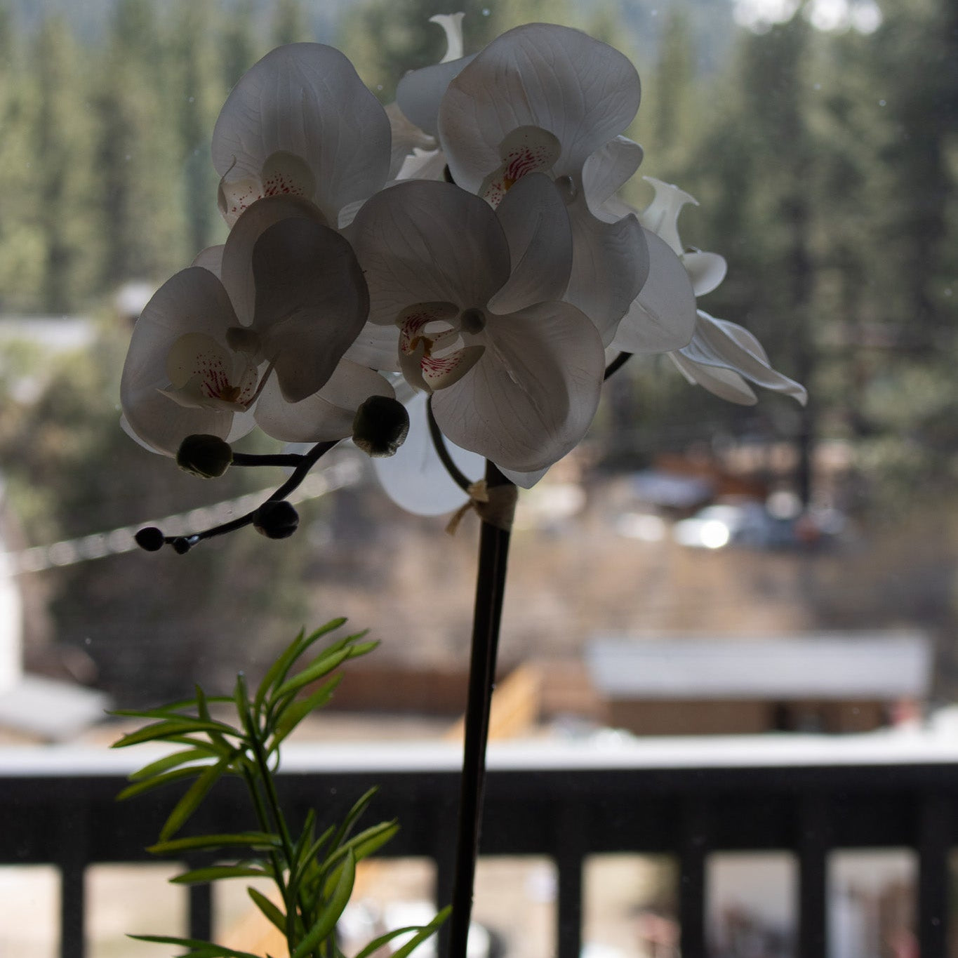 Elegant House Garden Faux White Orchid with Lush Greenery in Stylish Ceramic Vase