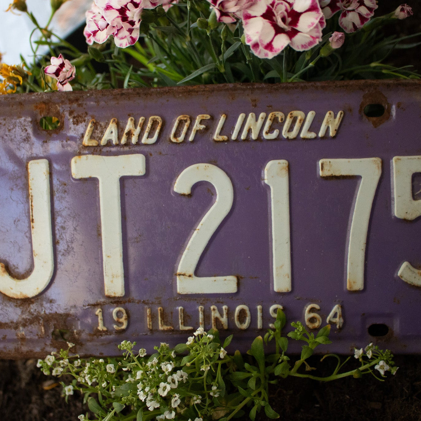 Vintage Land of Lincoln 1964 Illinois License Plate