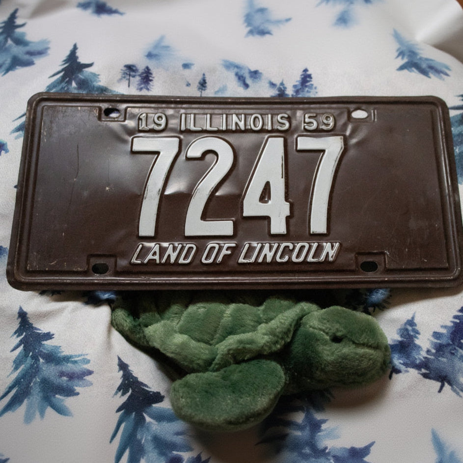 Vintage 1959 Illinois Land of Lincoln License Plate