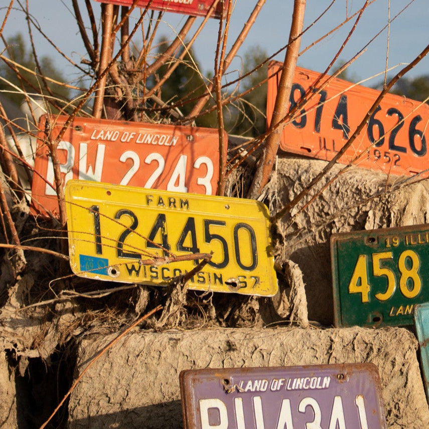 Wisconsin Farm 67 License Plate