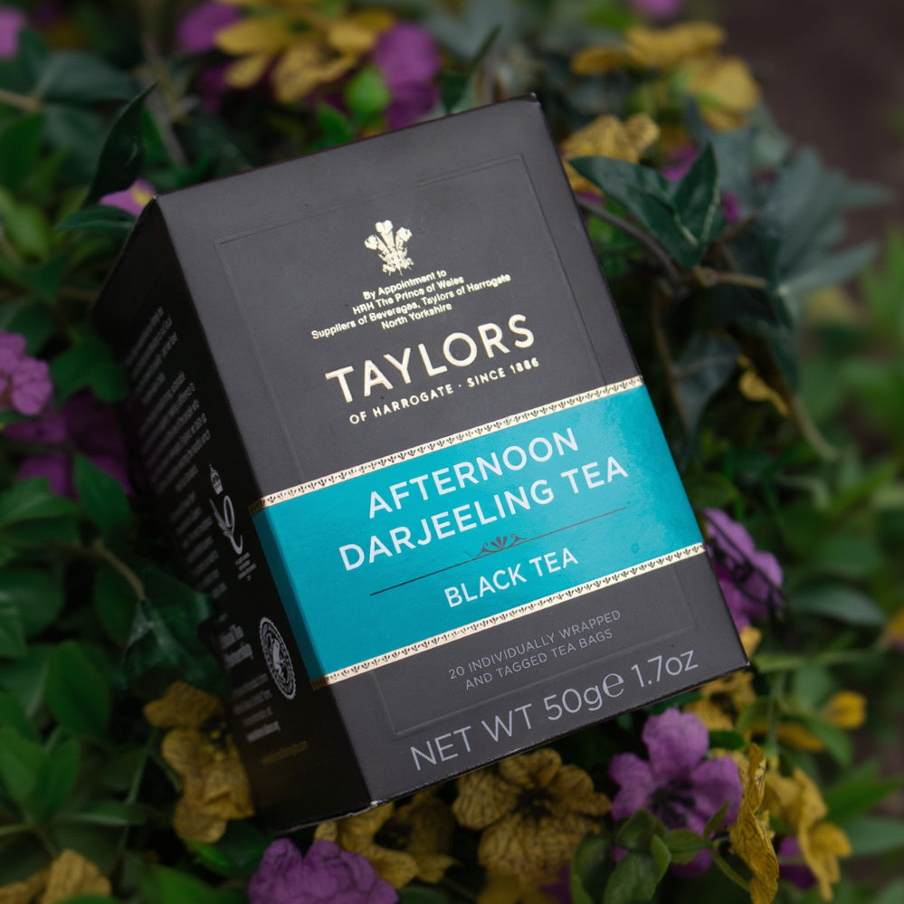 Taylors of Harrogate Black Tea 20 Individually Tagged and Wrapped Bags