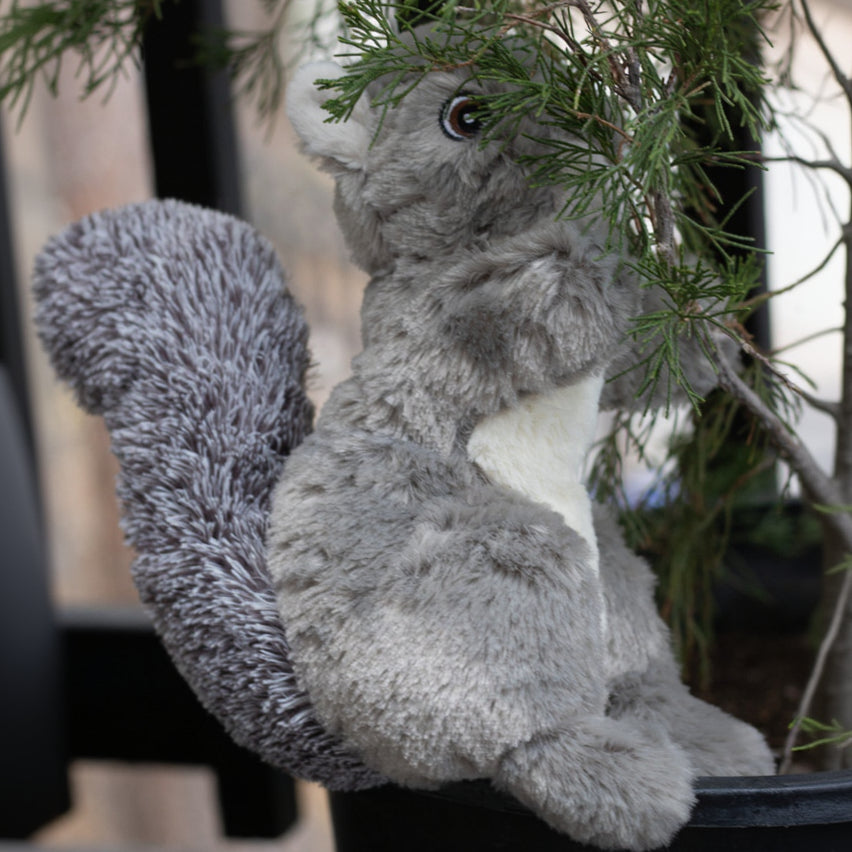 Pally Paws Wildlife Squirrel Dog Toy