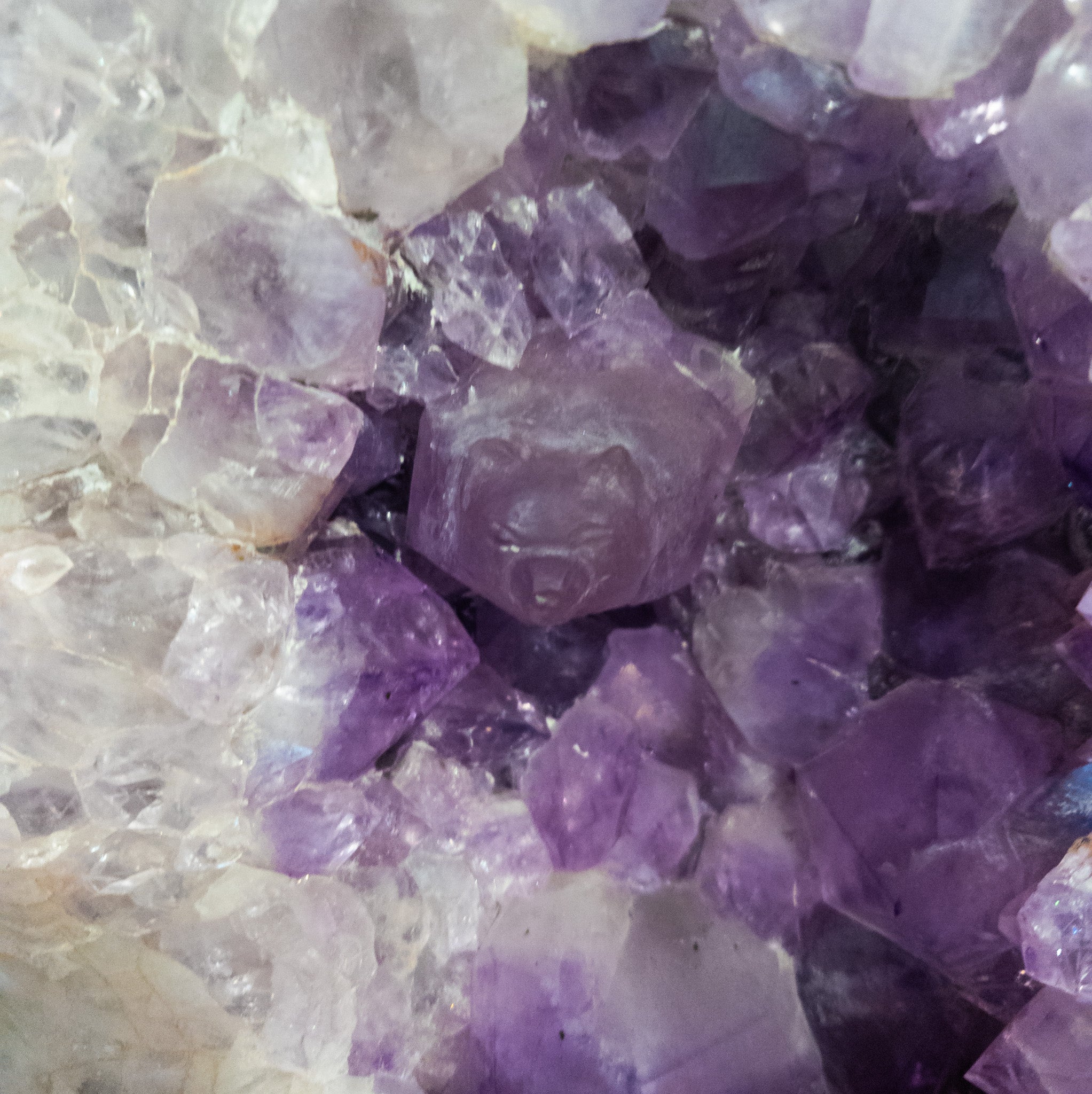 Large Natural Amethyst Geode Featuring Hand Carved Bear in the Crystal 13-inches 30lb