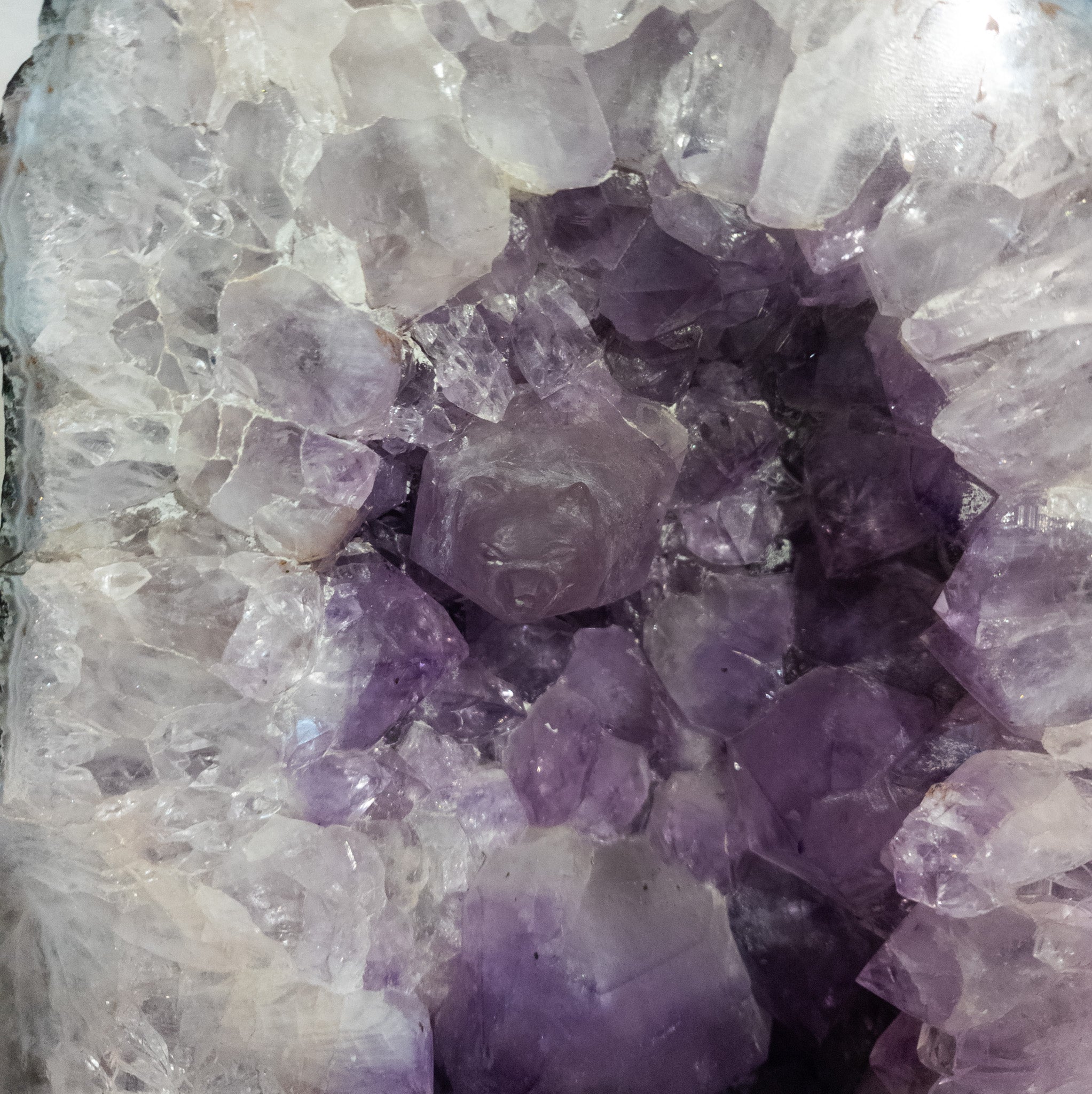 Large Natural Amethyst Geode Featuring Hand Carved Bear in the Crystal 13-inches 30lb