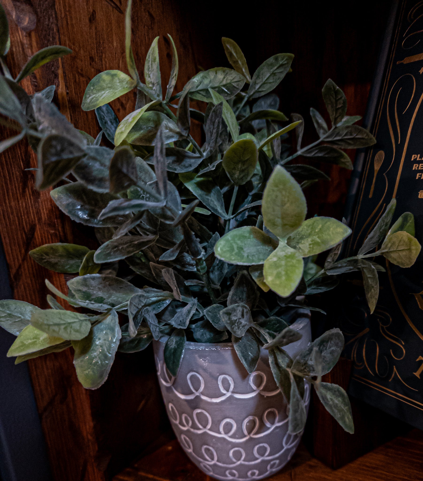 Faux Powdered Tea Leaf Plant in a White Washed Terracotta Pot