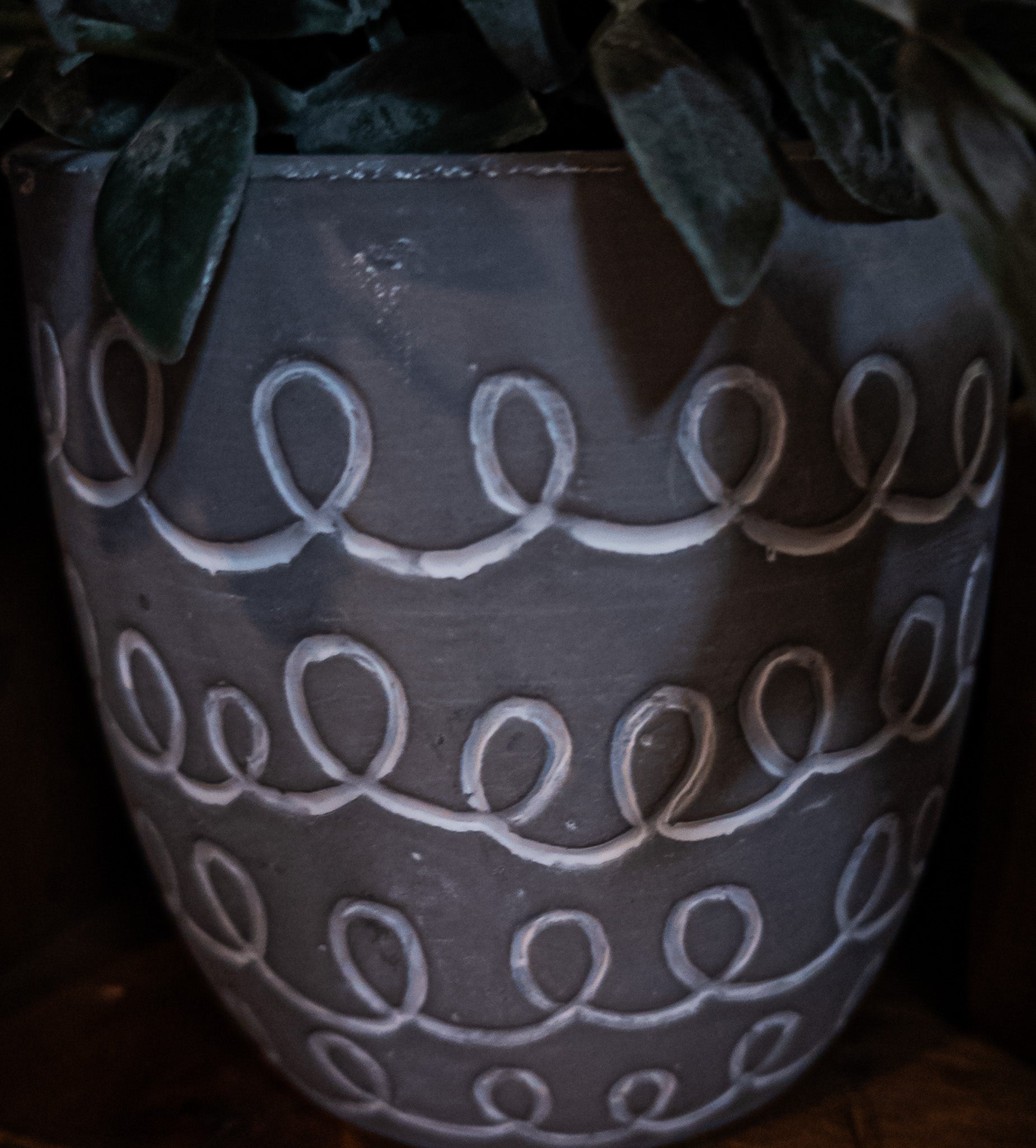 Faux Powdered Tea Leaf Plant in a White Washed Terracotta Pot