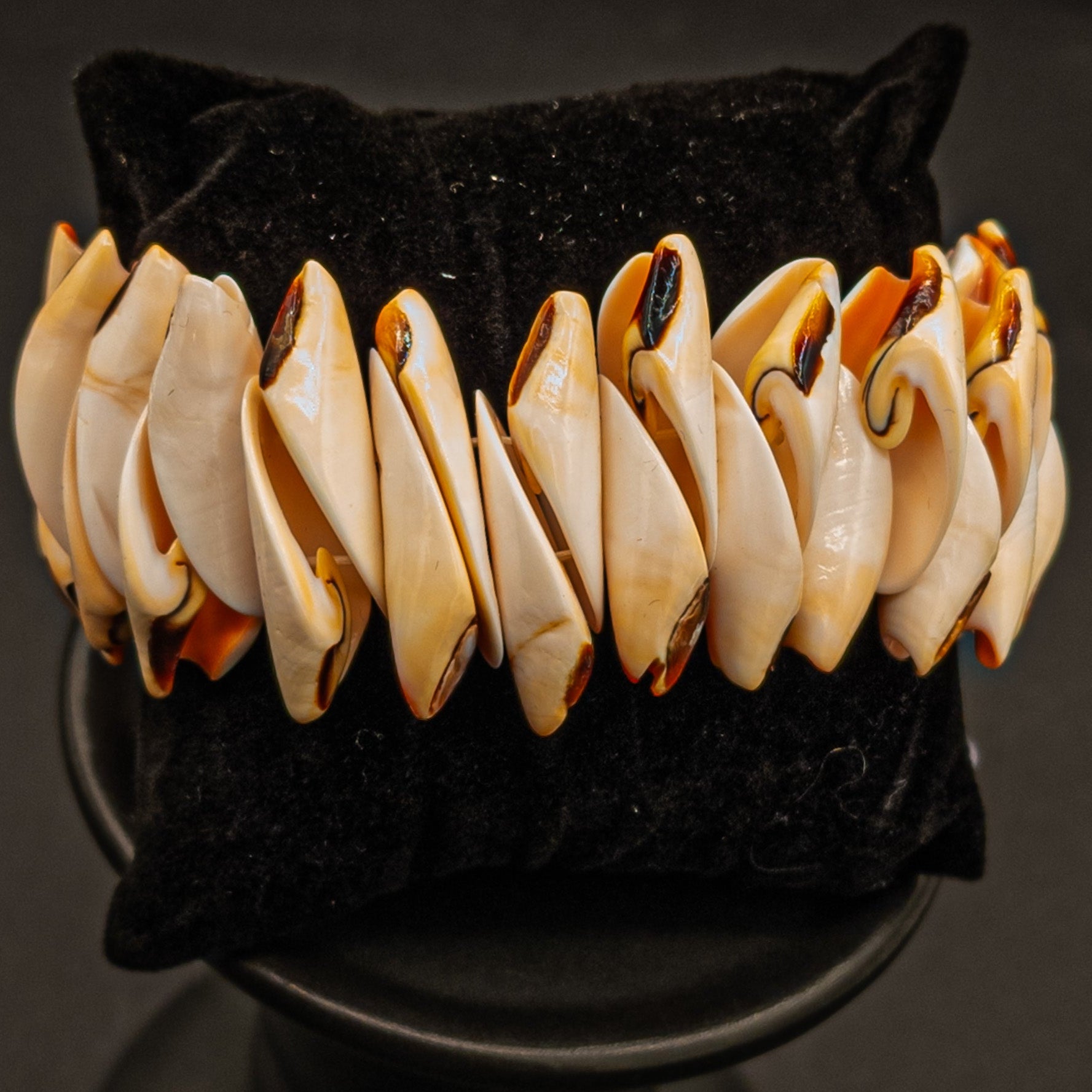 Conch Shell Stretch Bracelet