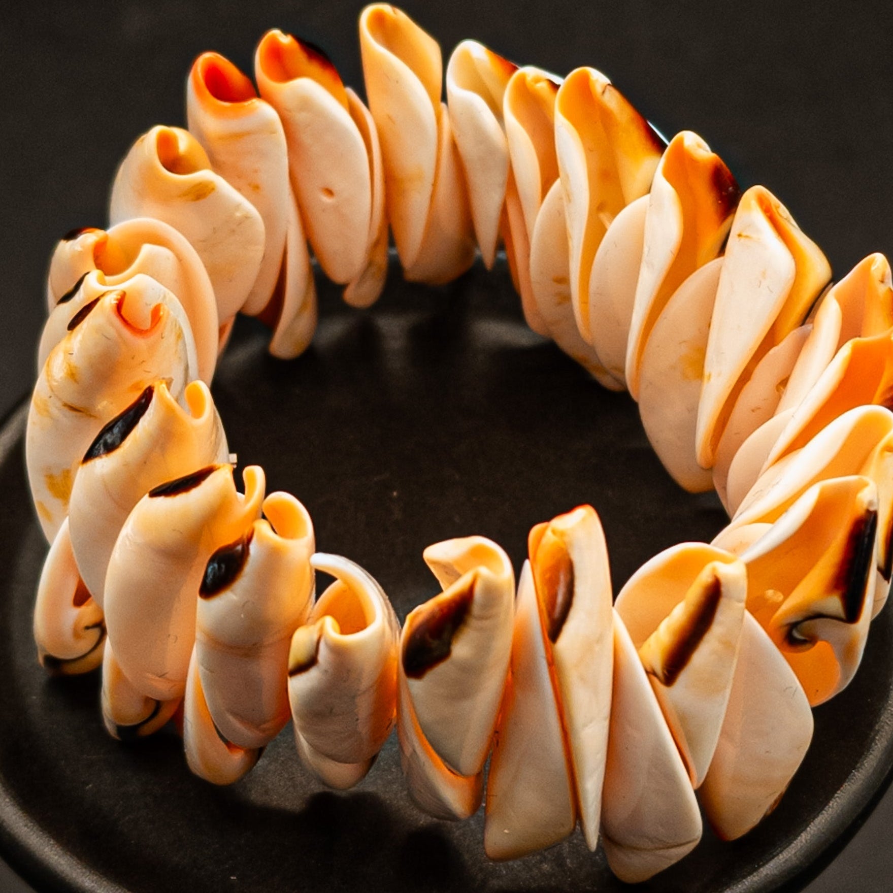 Conch Shell Stretch Bracelet