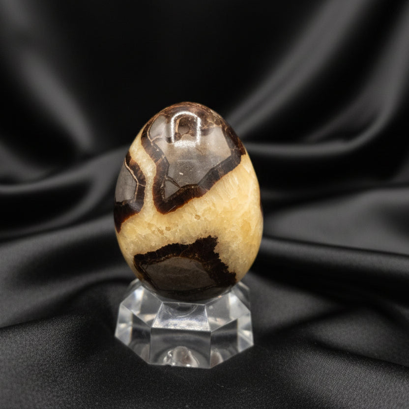 Collector Septarian Egg