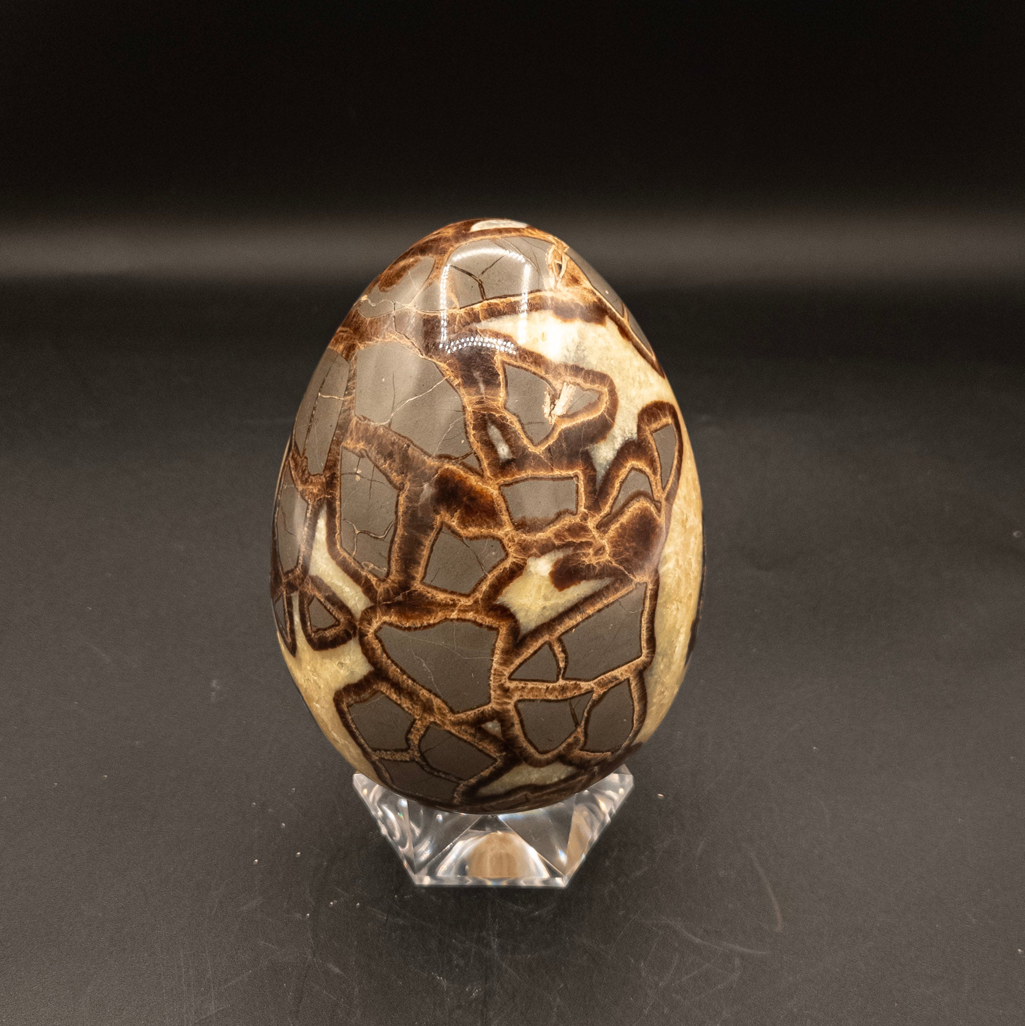 Stunning Septarian Dragon Egg