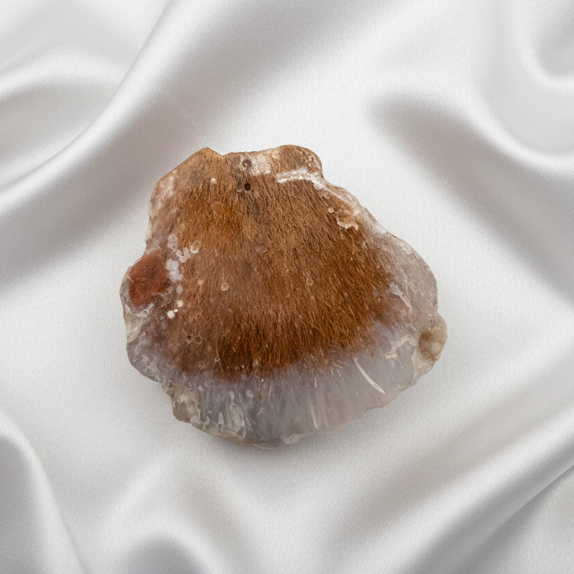 Pheonix Plume Agate
