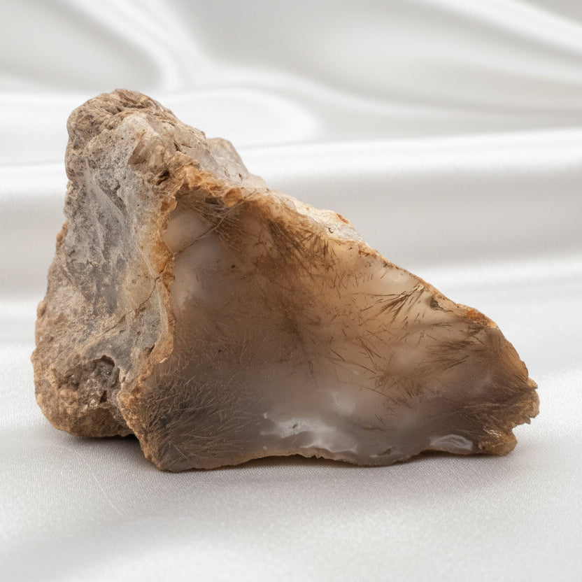 Wild Thistle Agate