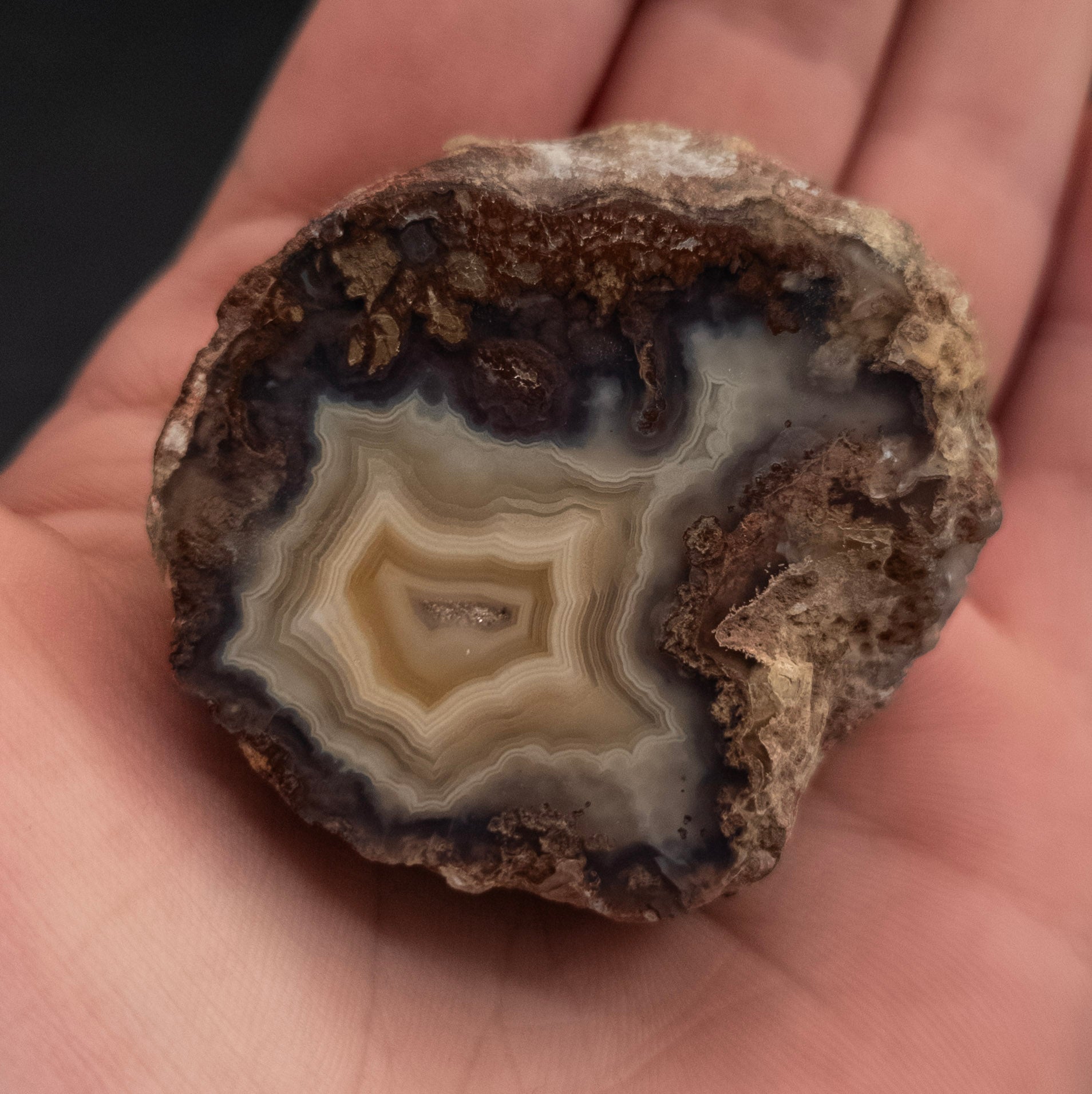 Amazing Laguna Agate Half Polished Stone