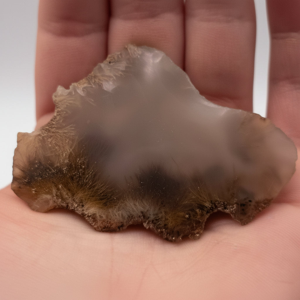 Polished Sagenite Agate from Mexico