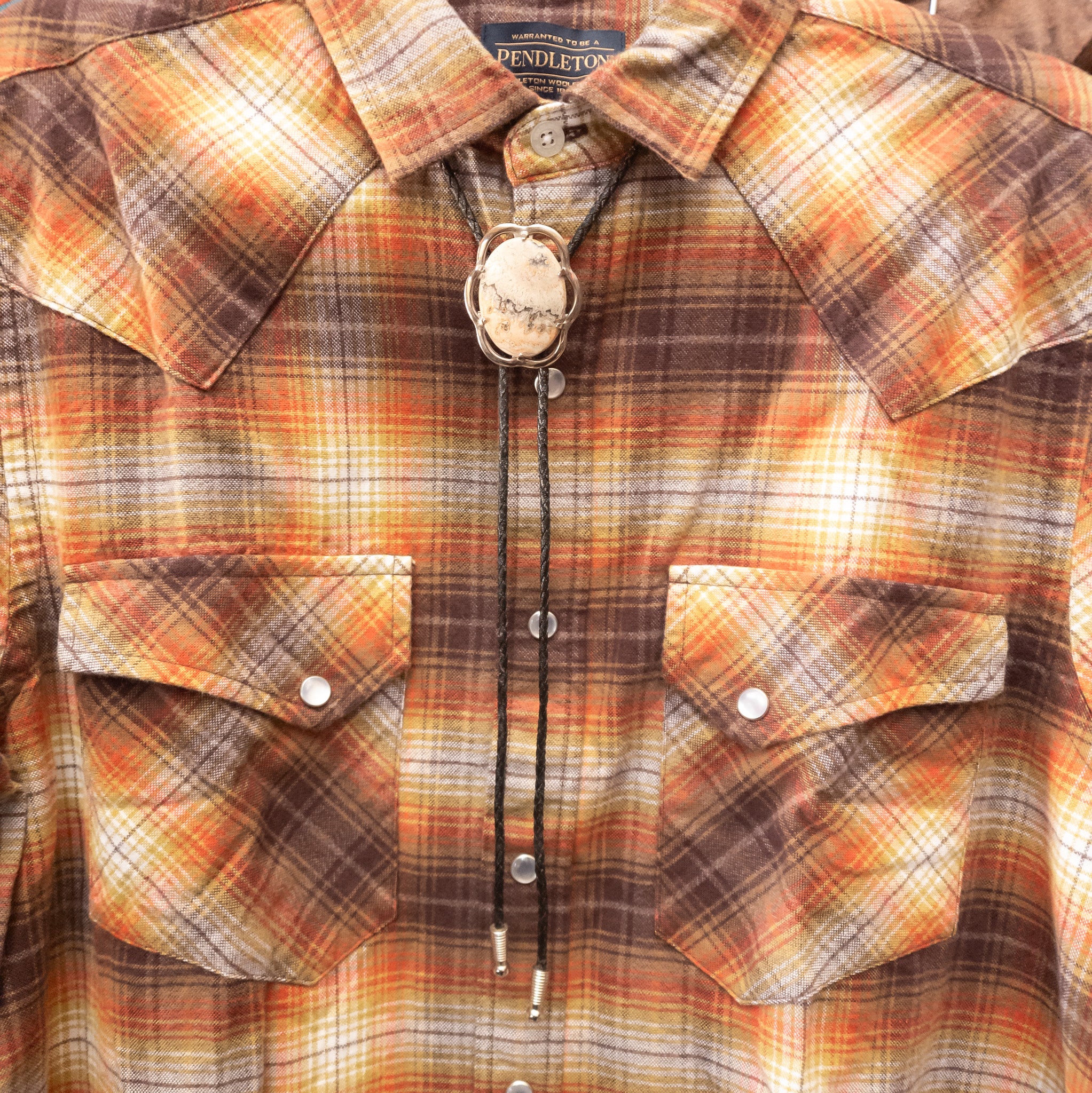 Landscape Silver Encased Jasper Stone Bolo Tie