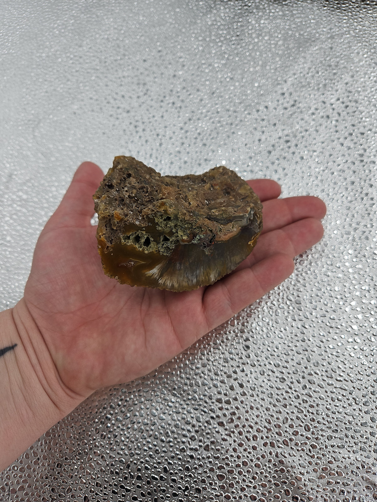 Beautiful Agate Geode from Washington