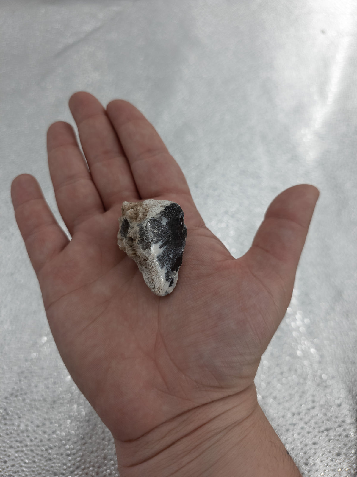 Natural Dendritic Opal