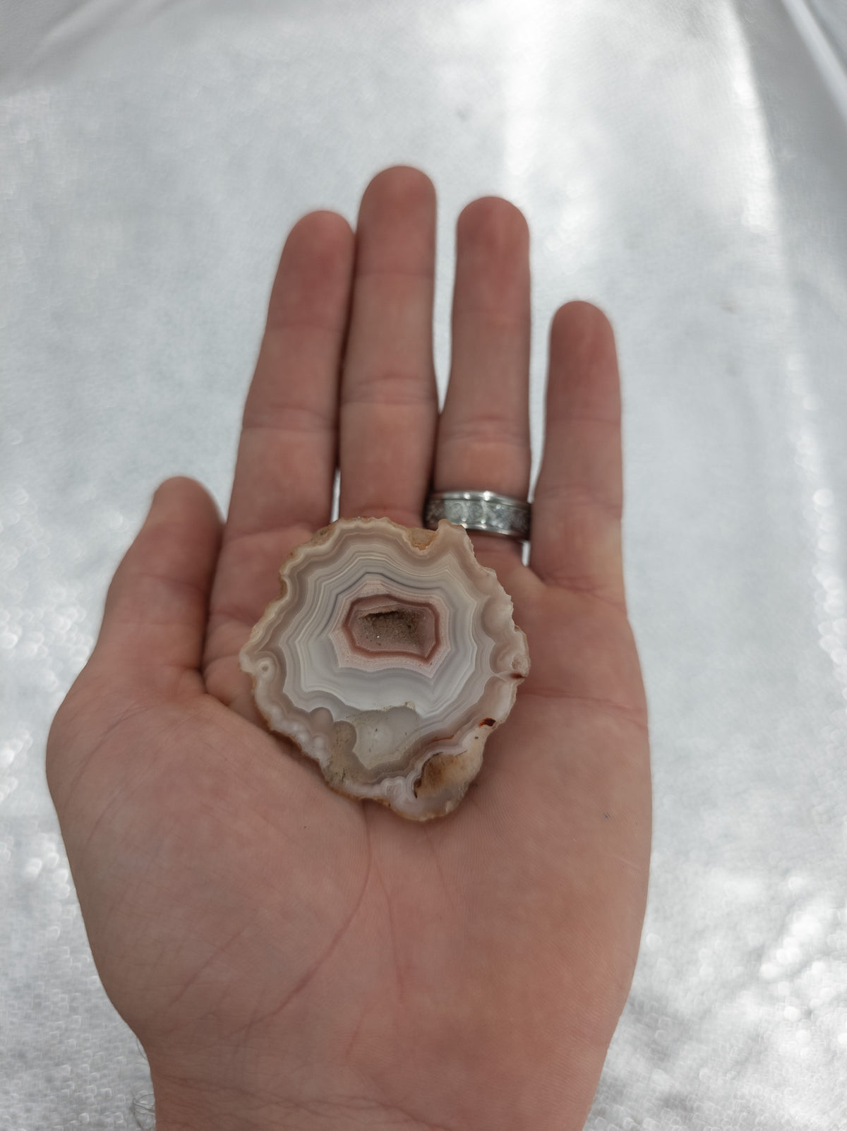 Pink Laguna Agate from Mexico