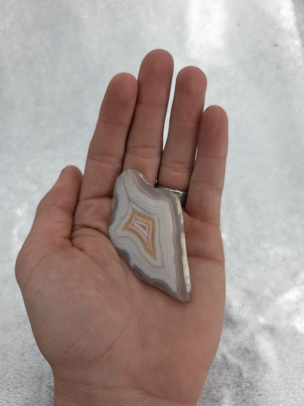 Polished Agate Banded Slice