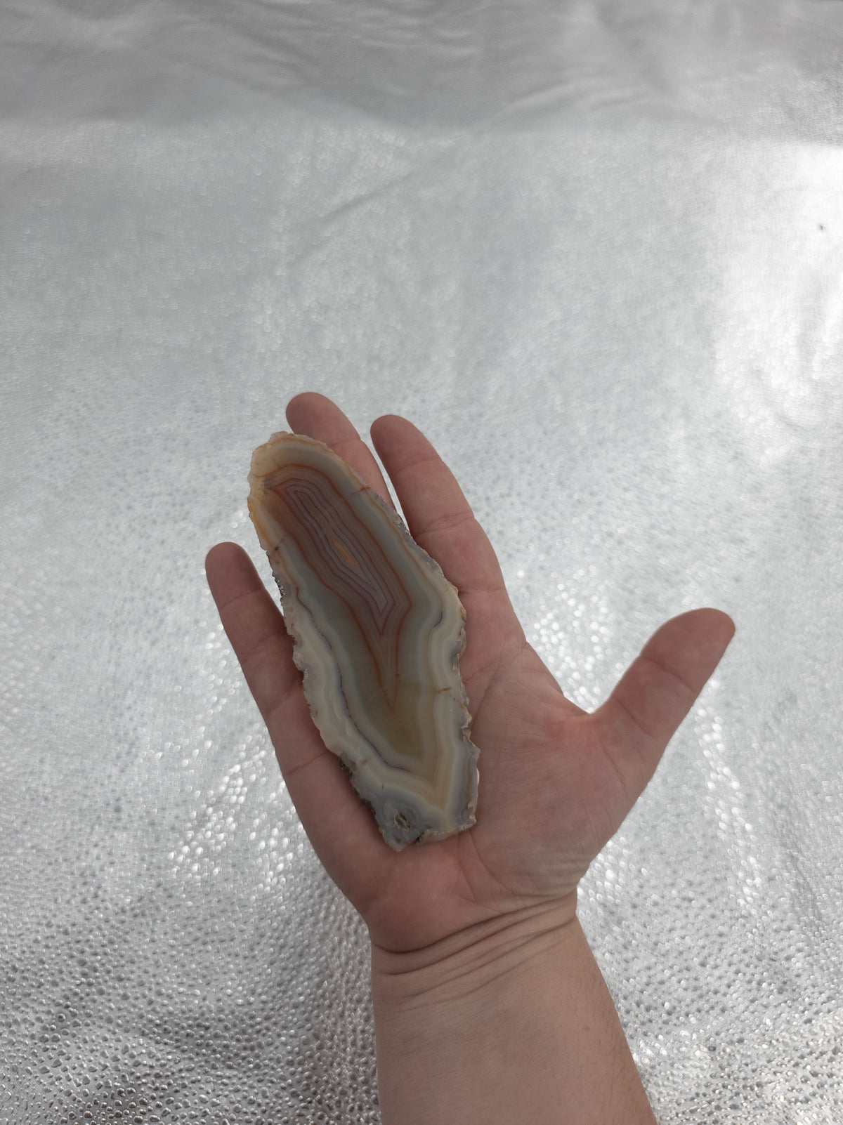 Polished Banded Agate Slice