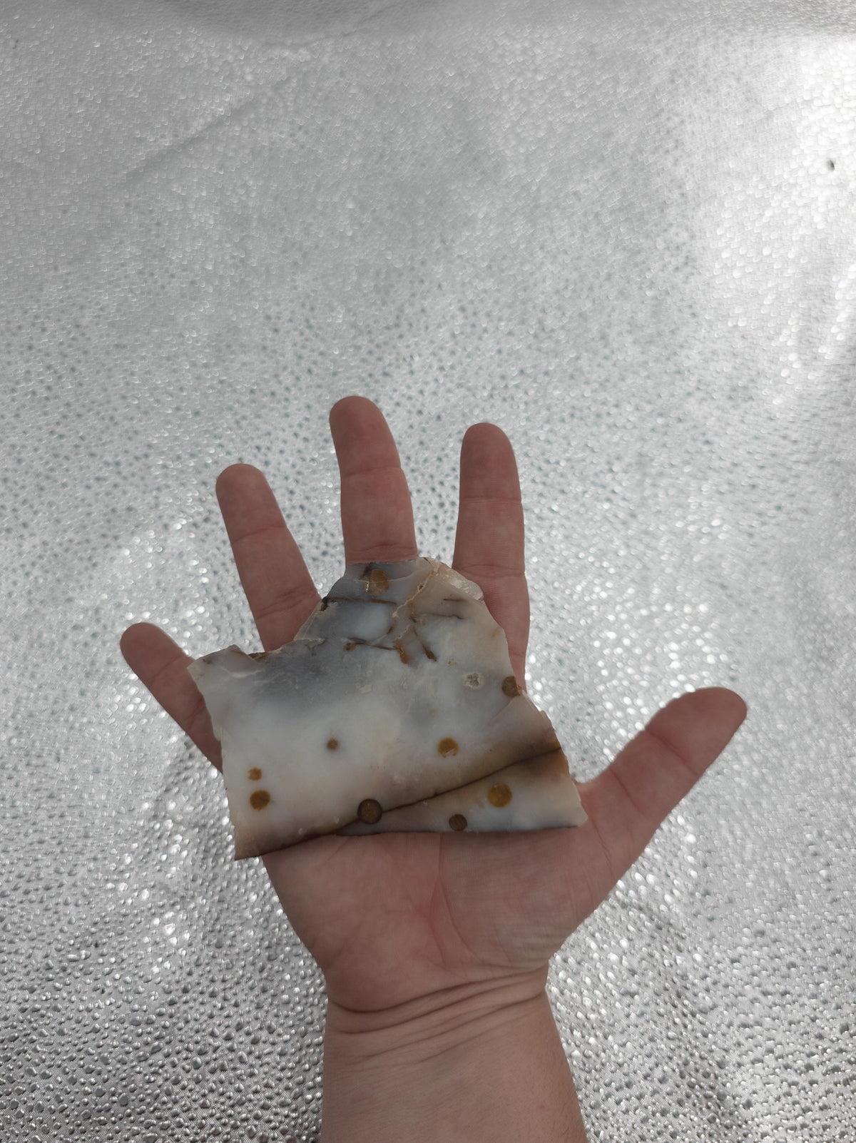 Polka Dot Agate