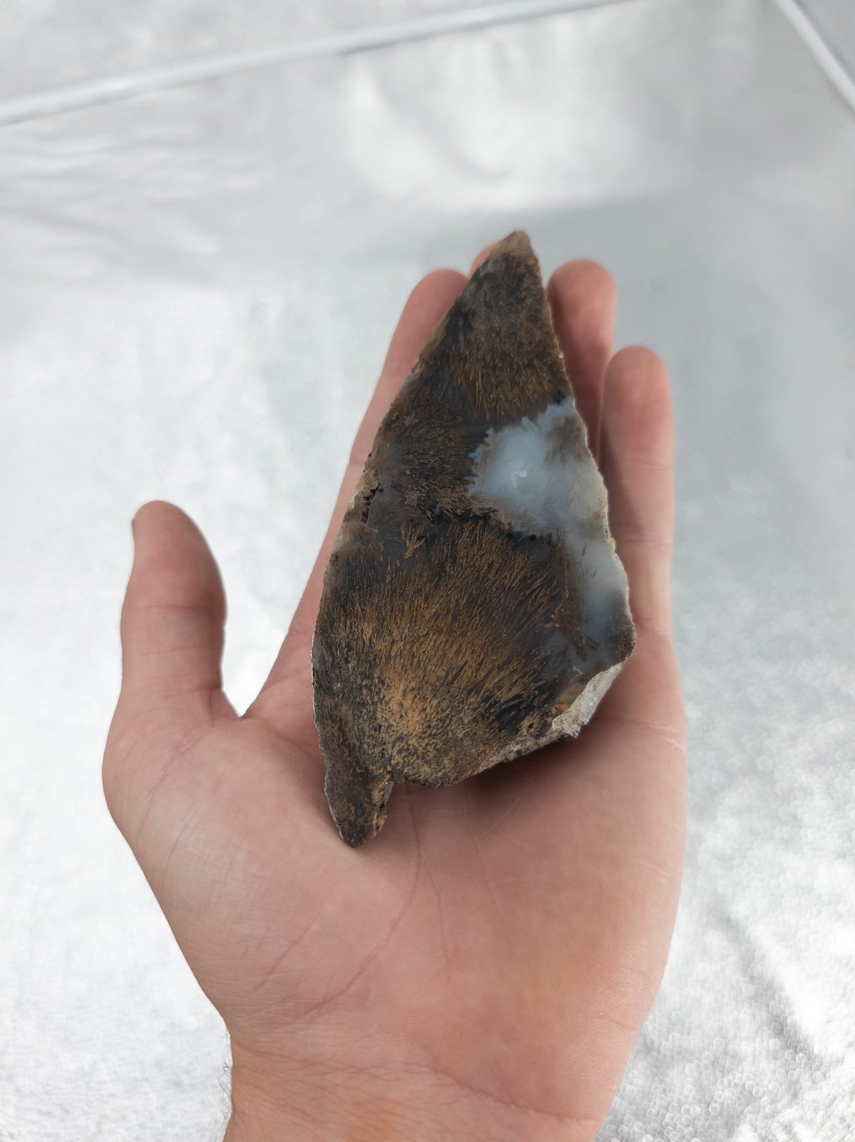 Blooming Plume Agate