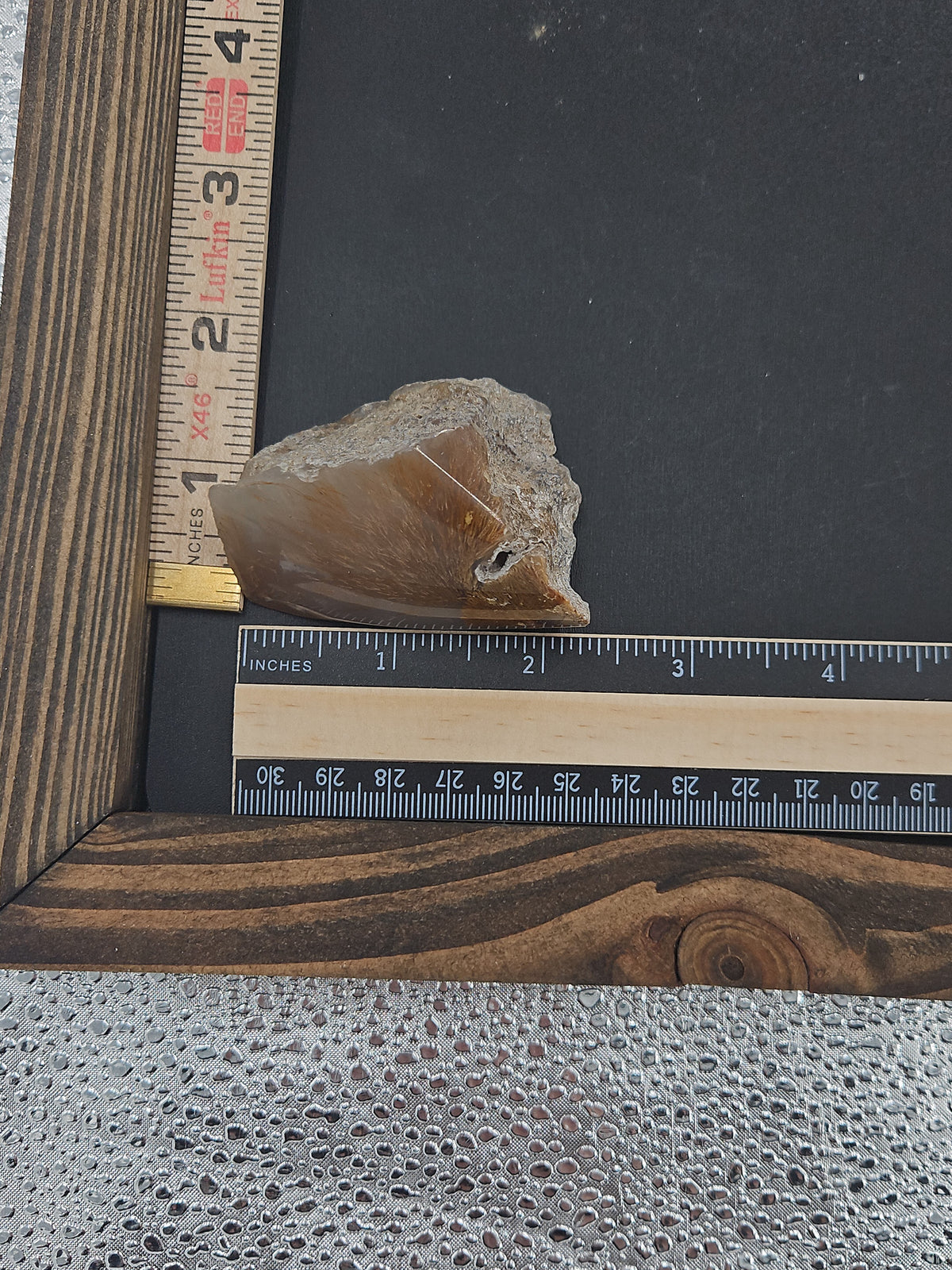 Sagenitic Agate