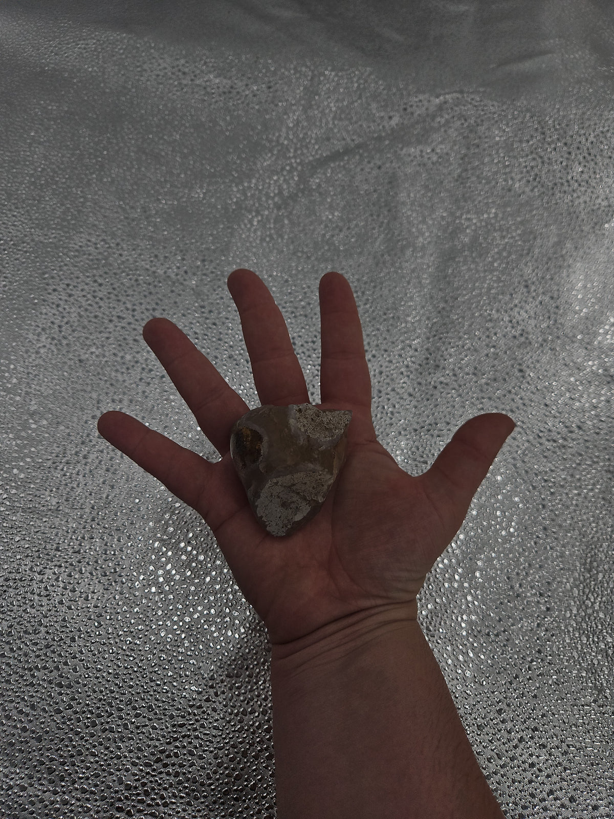 Rough Chalcedony Agate Nodule