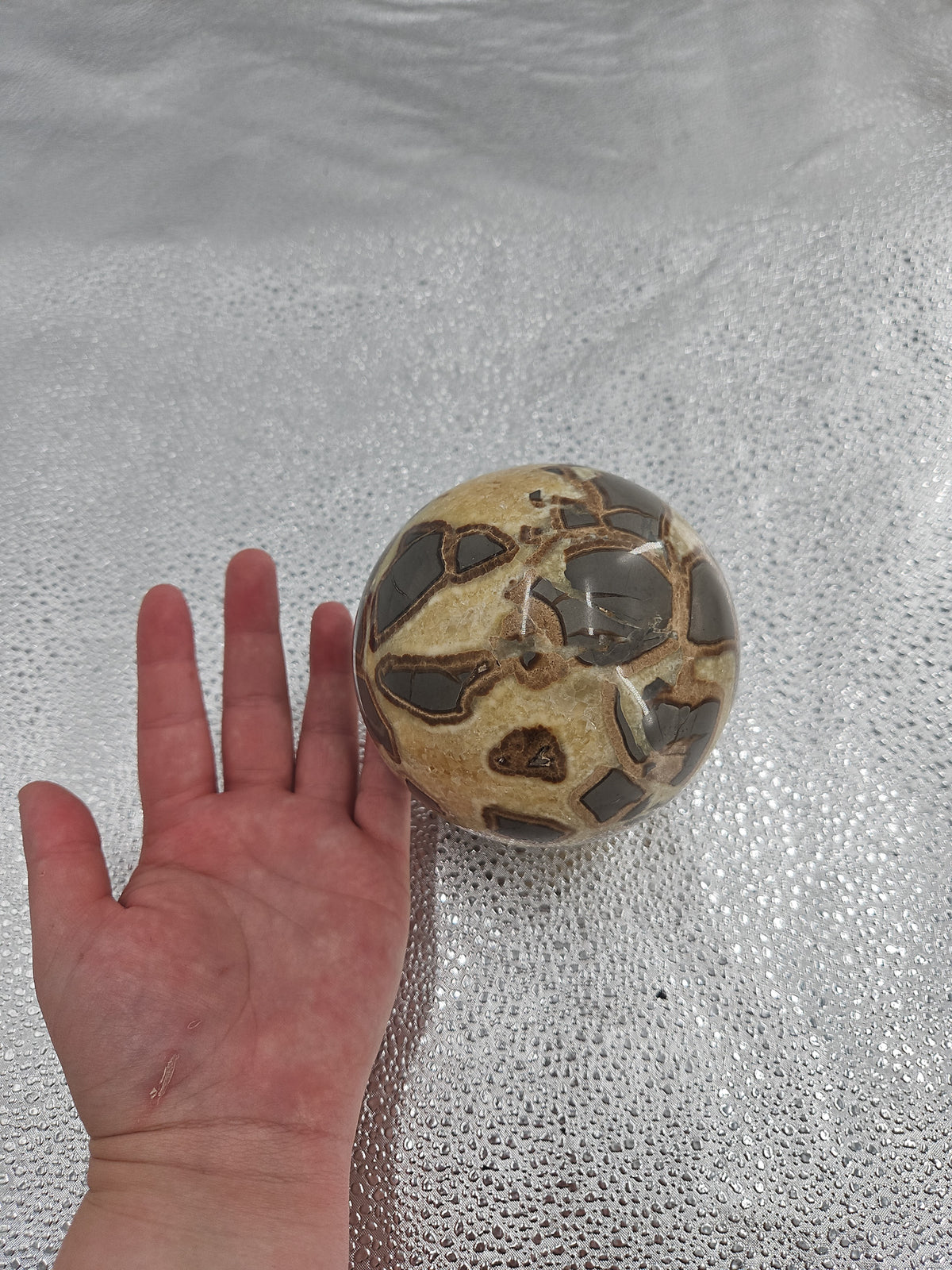 Septarian Nodule Sphere - Dragon Stone, 13 in Circumference