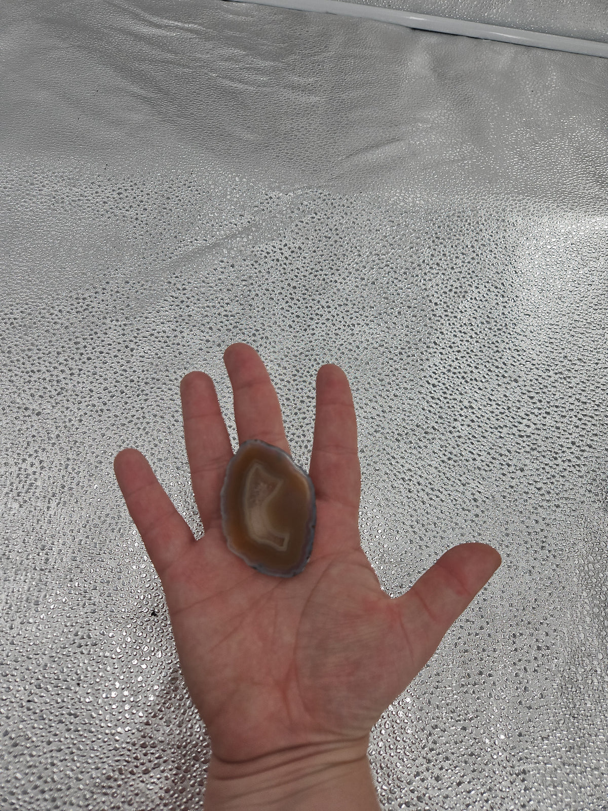 Stunning Agate Geode Slice