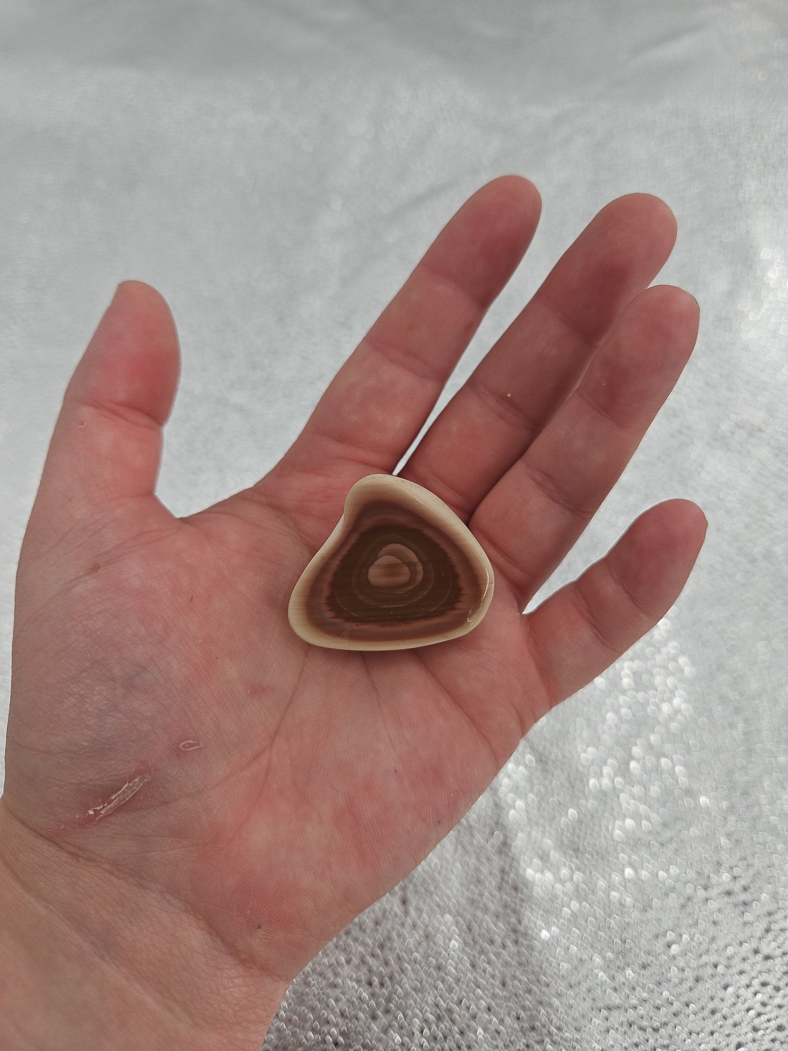 Unique Tree Ring Agate