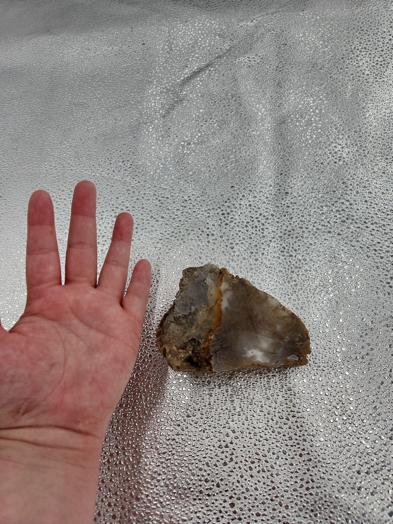 Wild Thistle Agate - Mexico