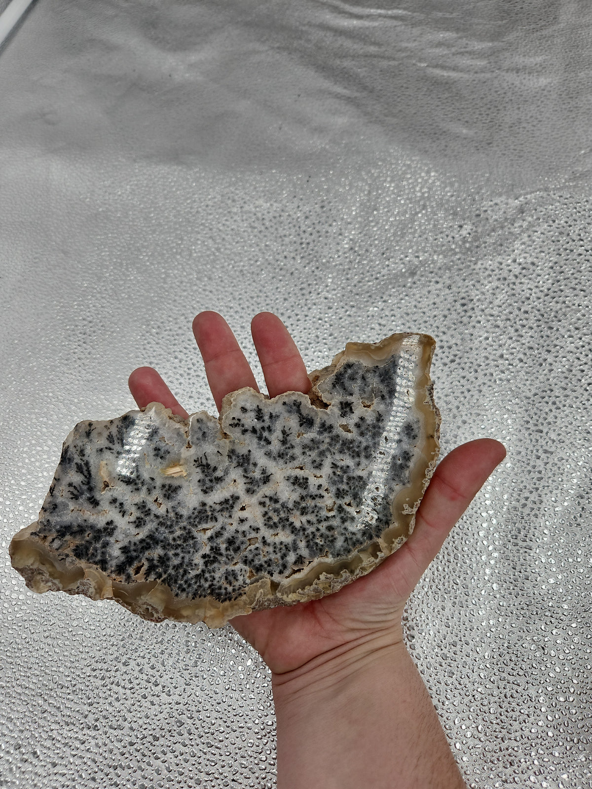 Stunning Medicine Bow Agate
