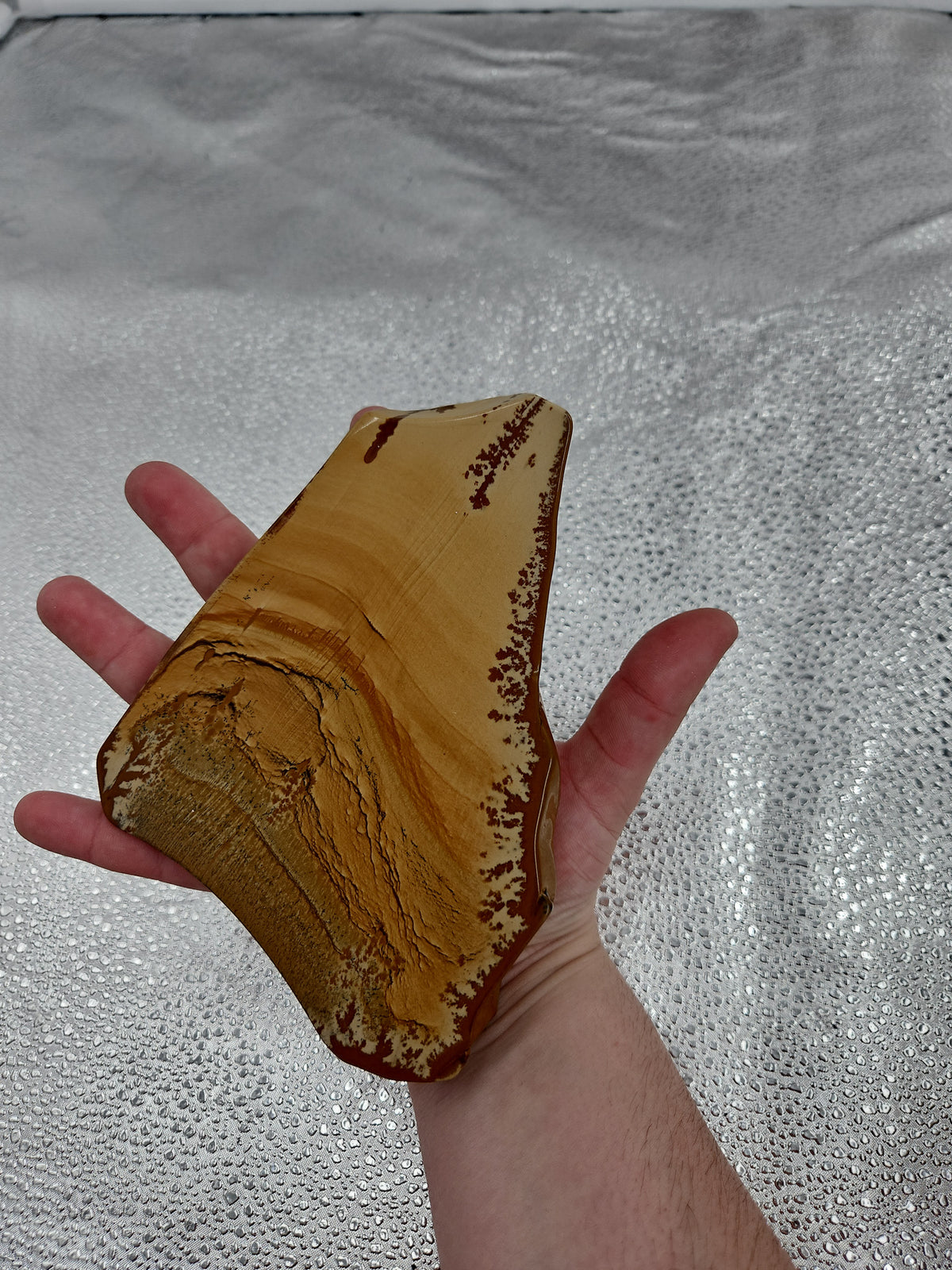 Owyhee Picture Jasper - 6.5 in, Idaho