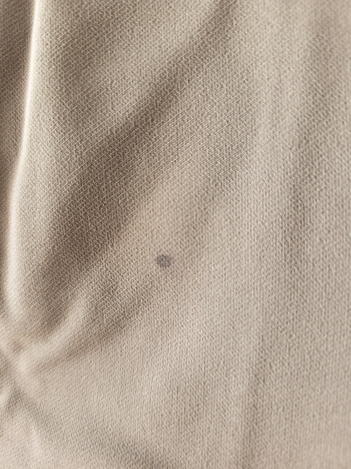 HAVE Los Angeles Women's Taupe Tailored Blazer – Single Button