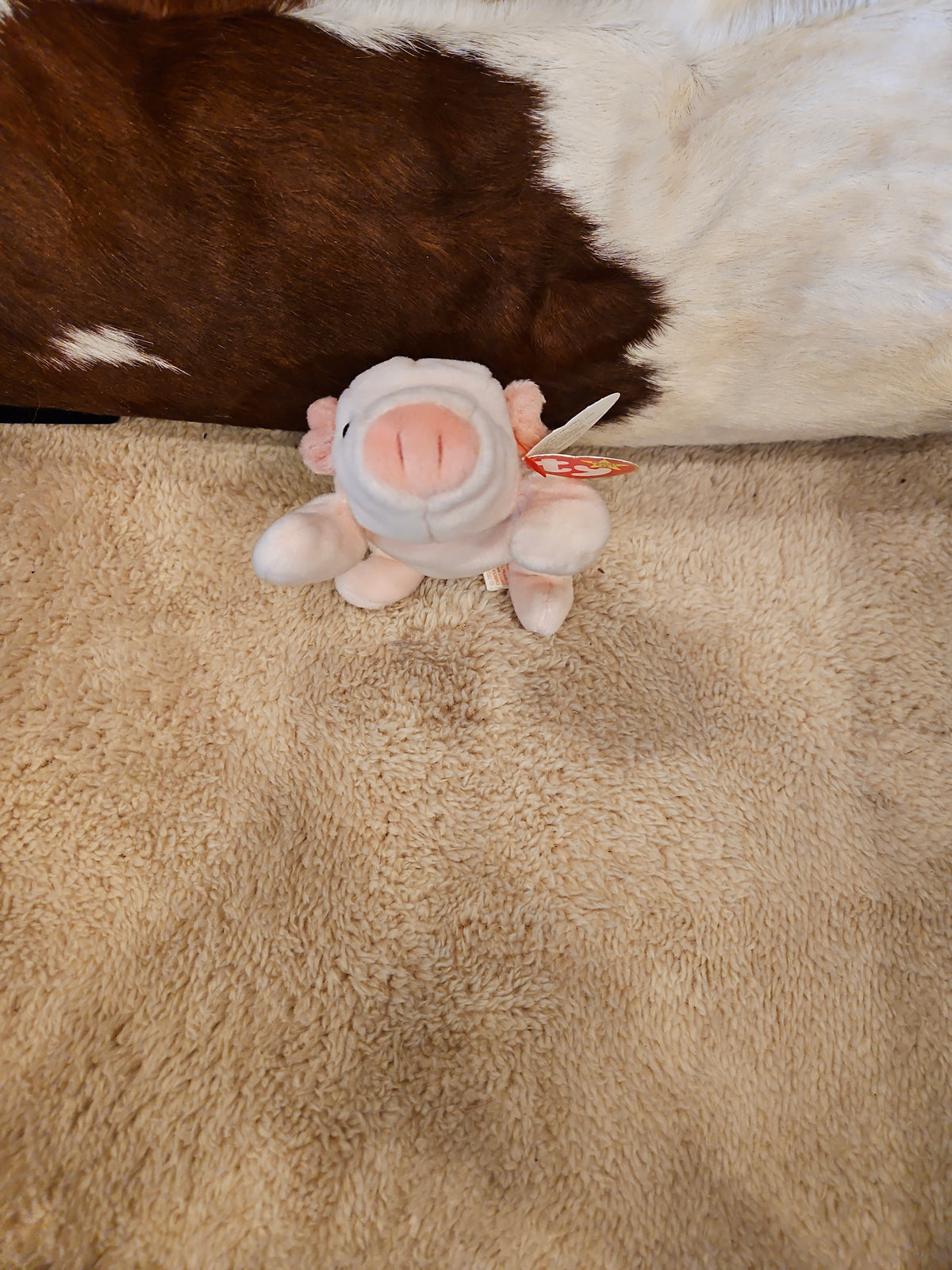 Ty Beanie Babies Squealer Collection