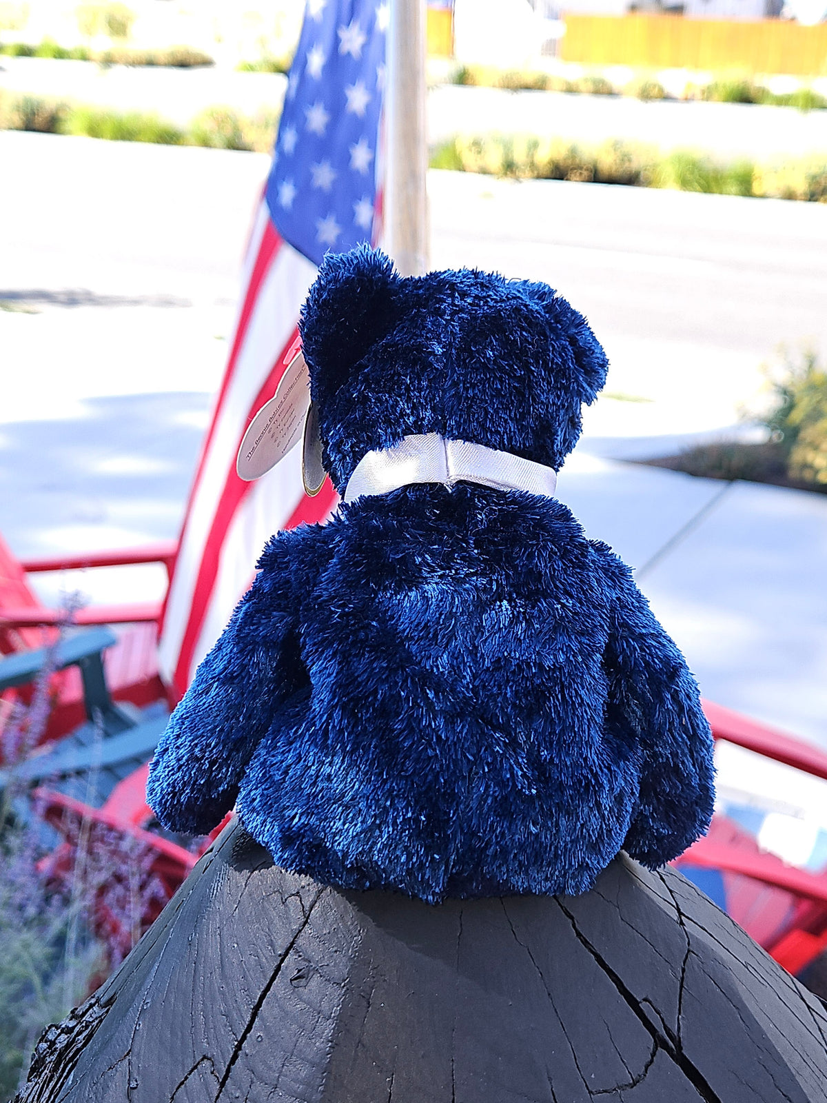 TY Beanie Babies 2002 Pops the Bear