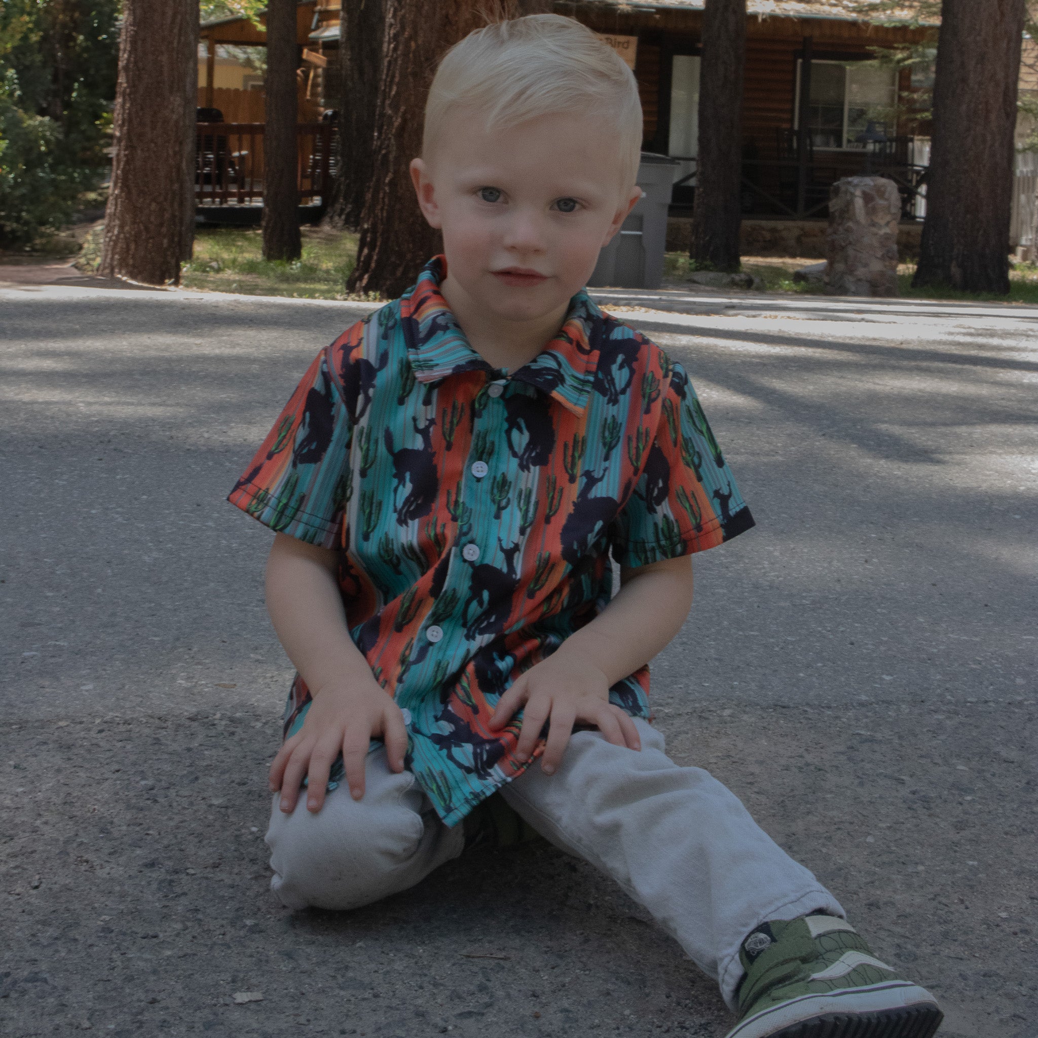 Boys Bull And Cactus Striped Short Sleeves Button Down Shirt Multicolor