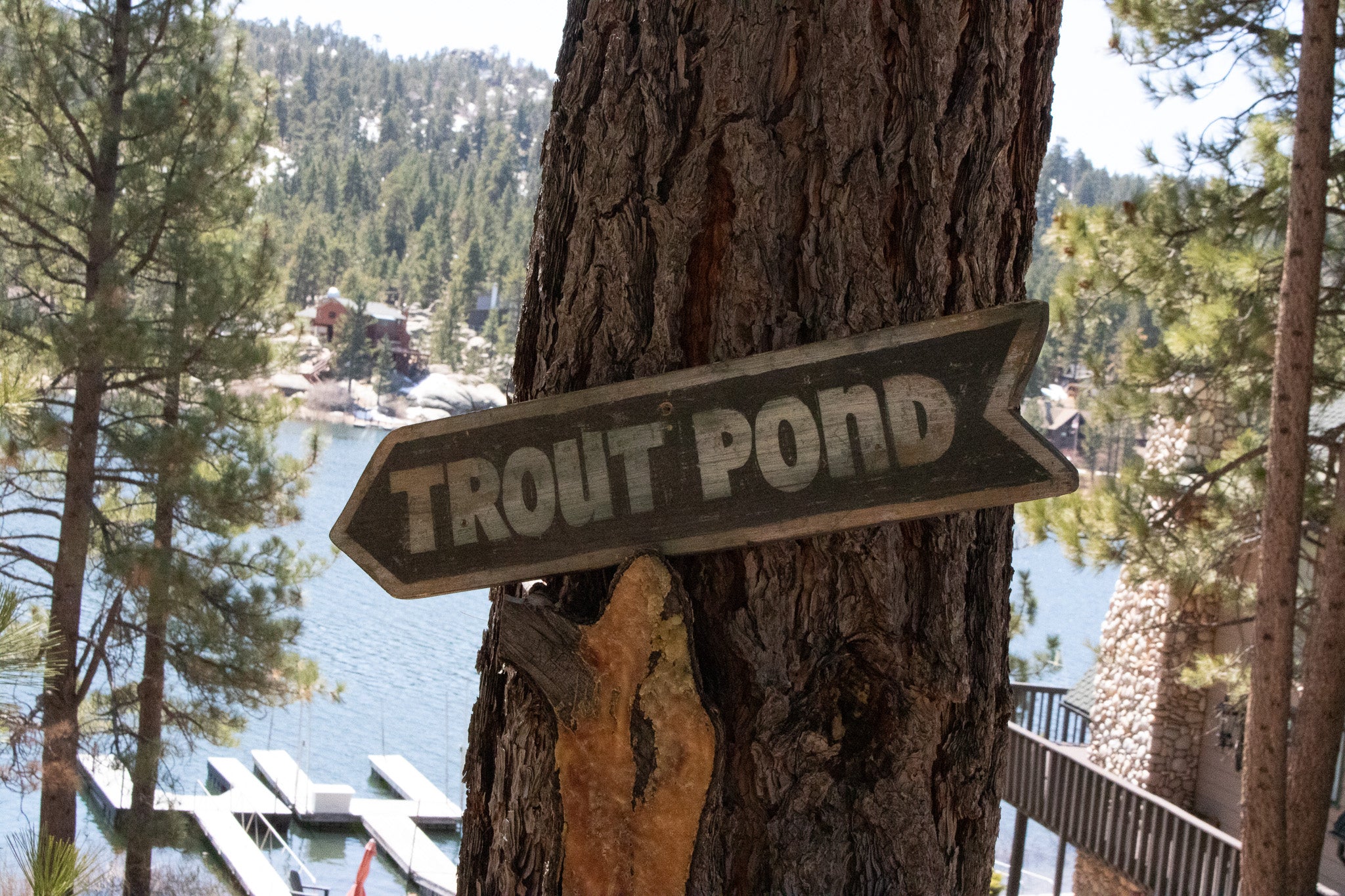 "Trout Pond" Wooden Novelty Sign