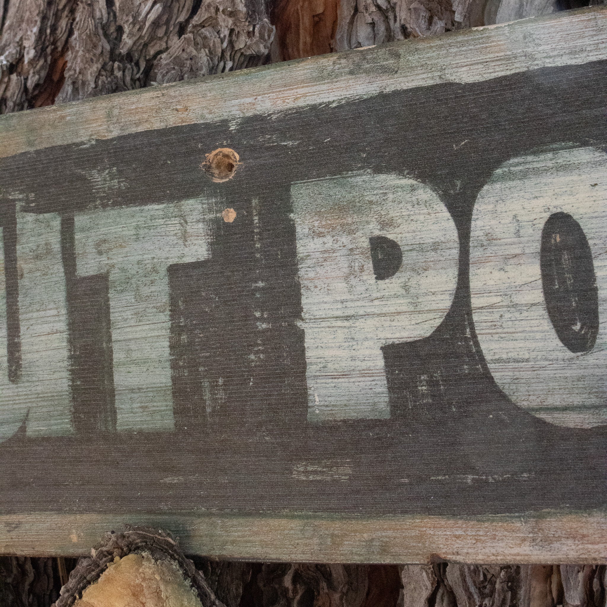 "Trout Pond" Wooden Novelty Sign