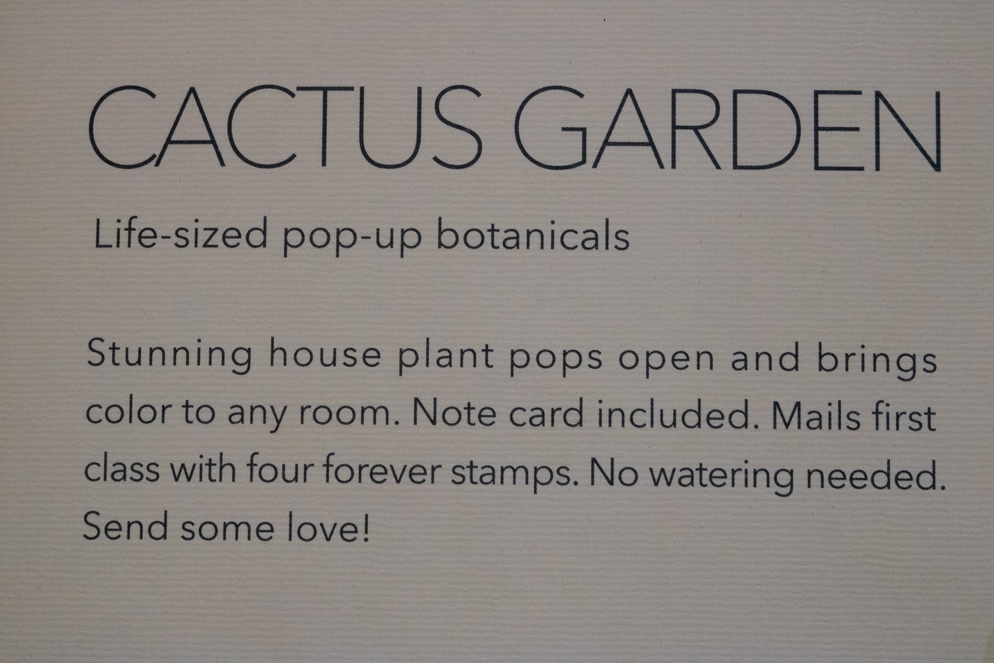 Life-Sized Paper Cactus Garden Pop-Up Botanical Creations