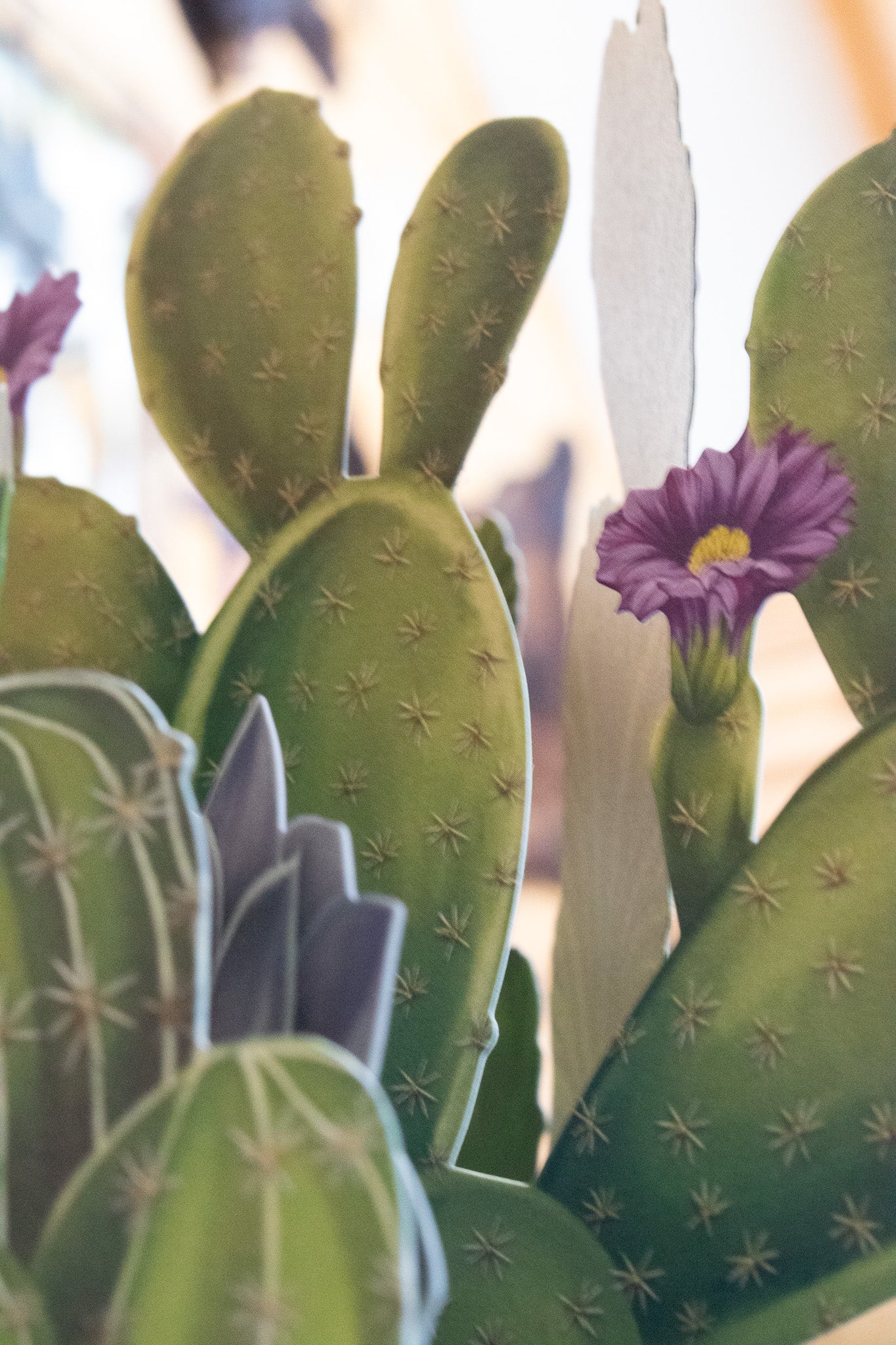 Life-Sized Paper Cactus Garden Pop-Up Botanical Creations