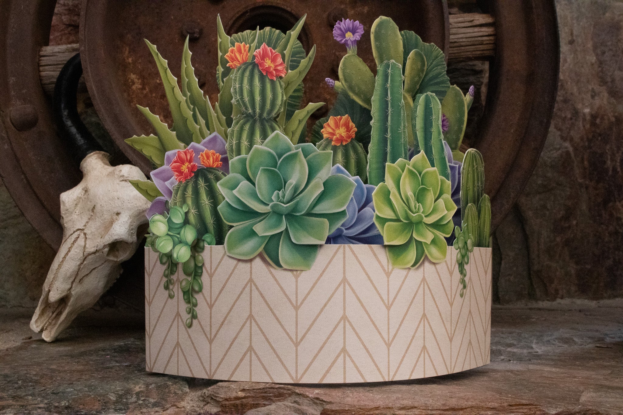 Life-Sized Paper Cactus Garden Pop-Up Botanical Creations